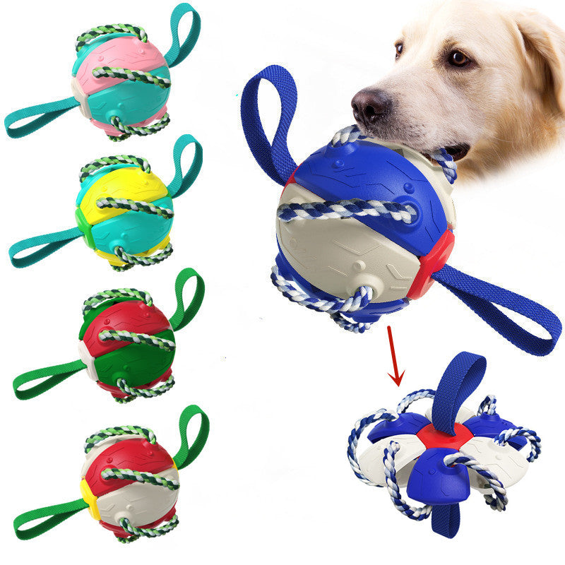 Brando | Interaktiver Hundespielball mit Schleuderfunktion