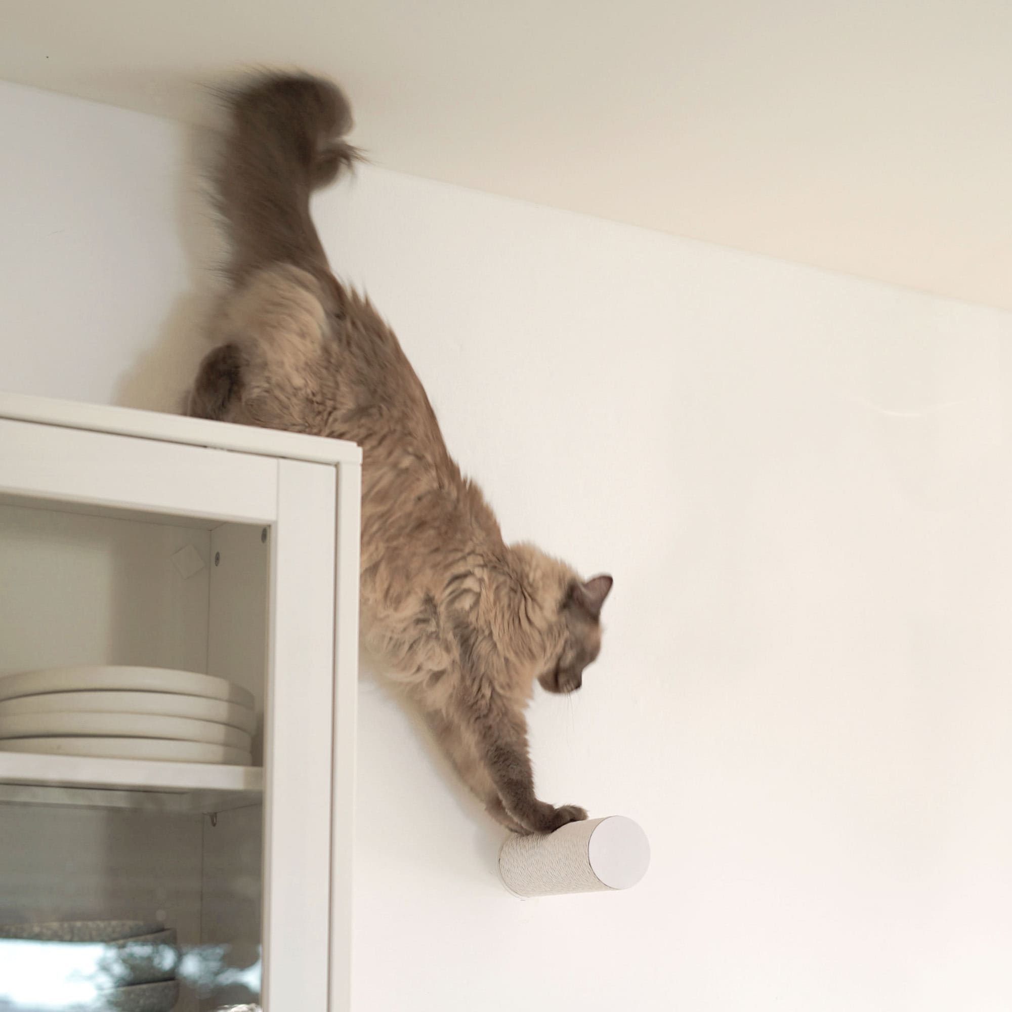 Taviro | Wand-Kratzstamm für Katzen zur vertikalen Kletterwand-Erweiterung
