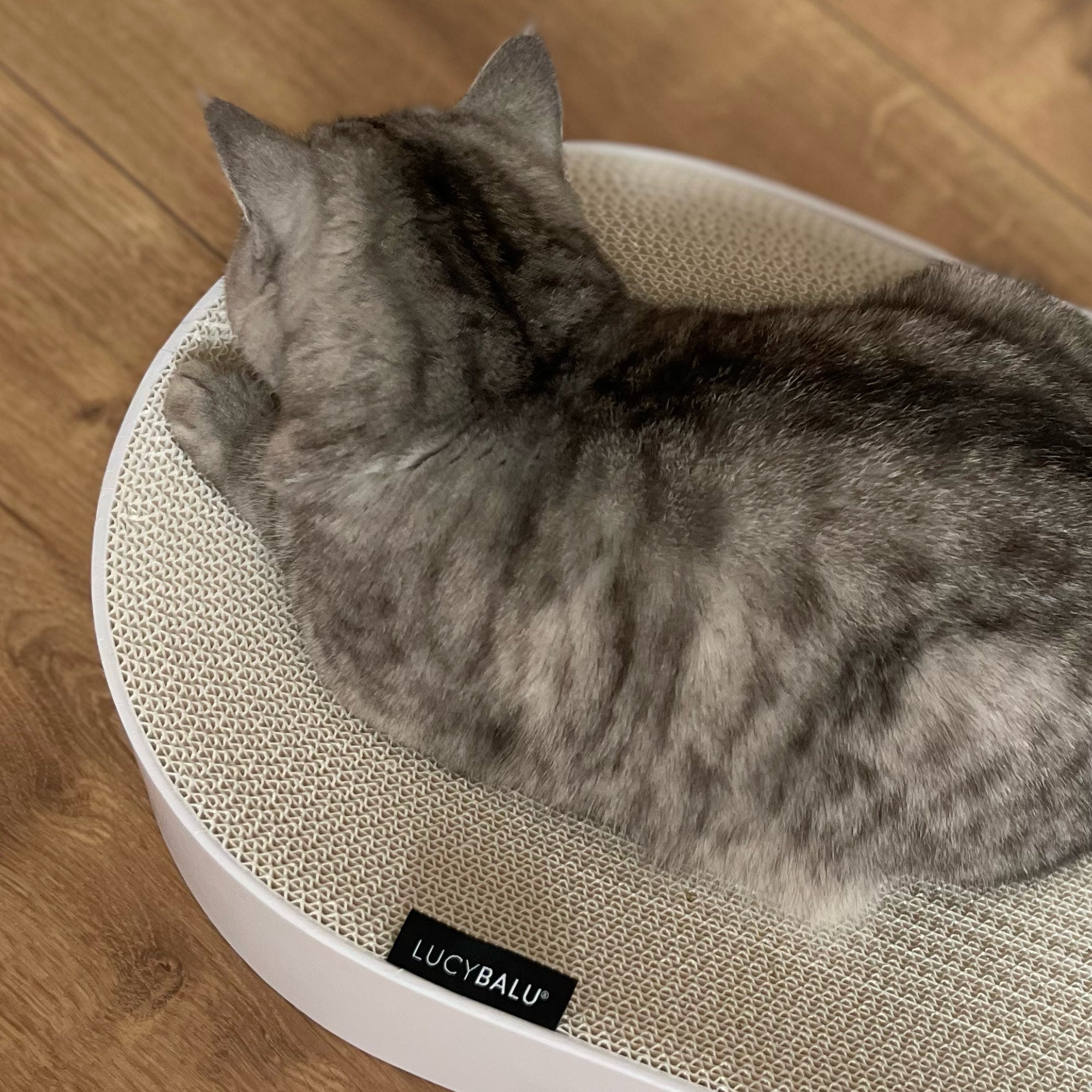 KratziLounge | Ovales Katzenbett mit integrierter Kratzfläche aus Karton