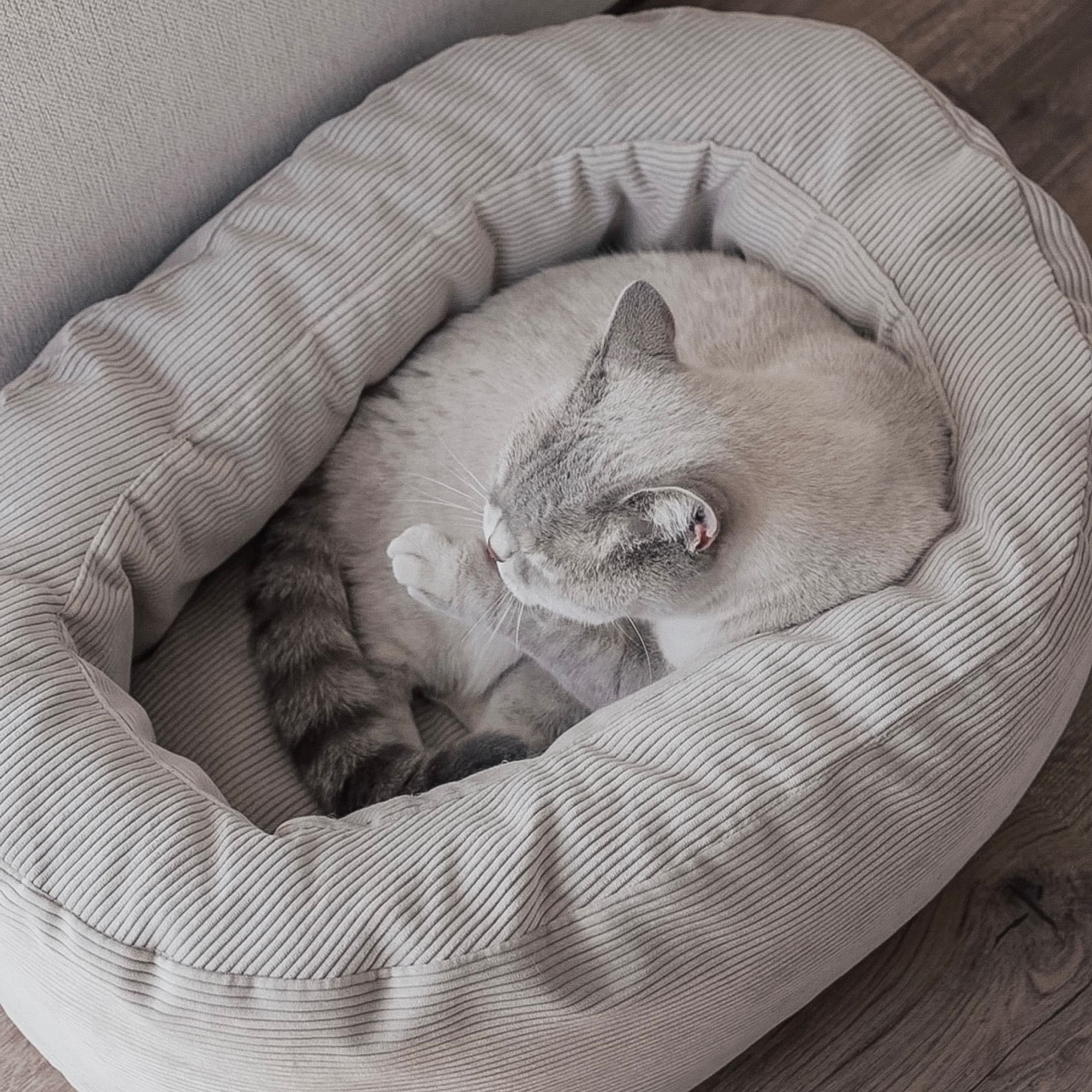 SamtSloop | Rundes Katzenbett mit Kuschelrand