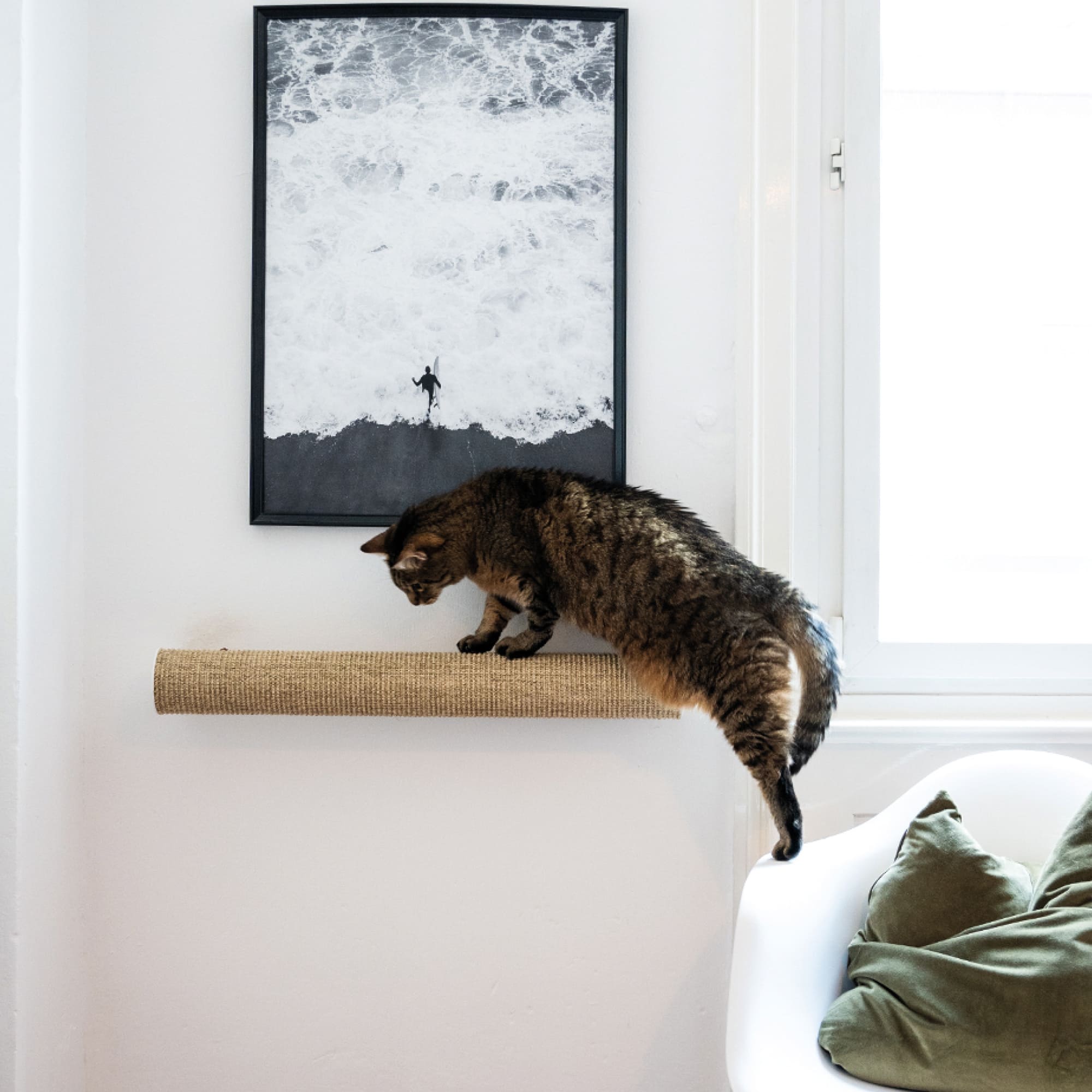 MiraMau | Wandkratzstamm für Katzen mit Kletterfunktion