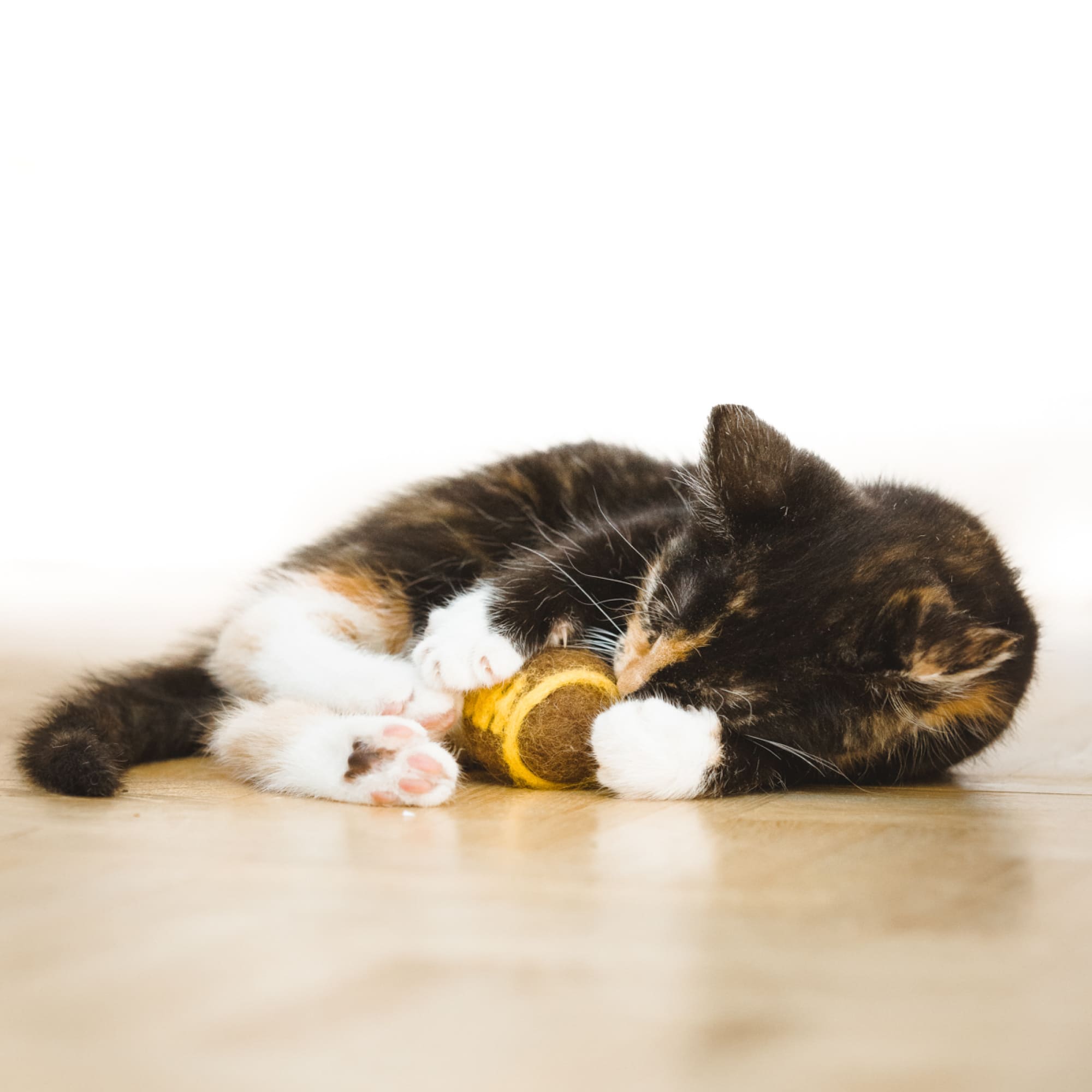 Tigro | Sportliche Filzspielbälle für Katzen im Ball-Design