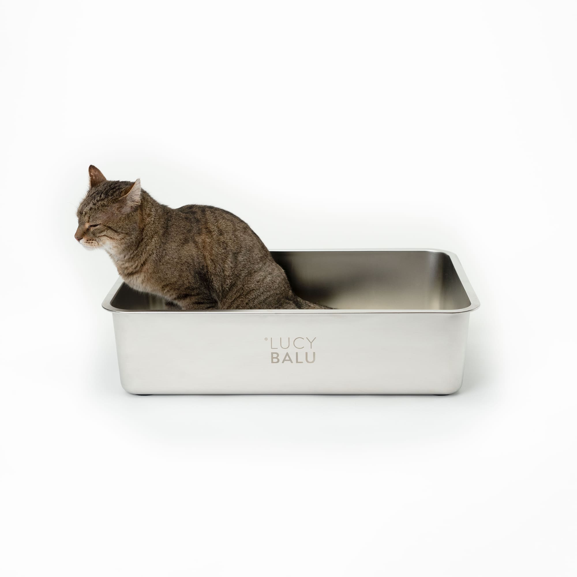 Langlebiges Katzenklo aus Edelstahl