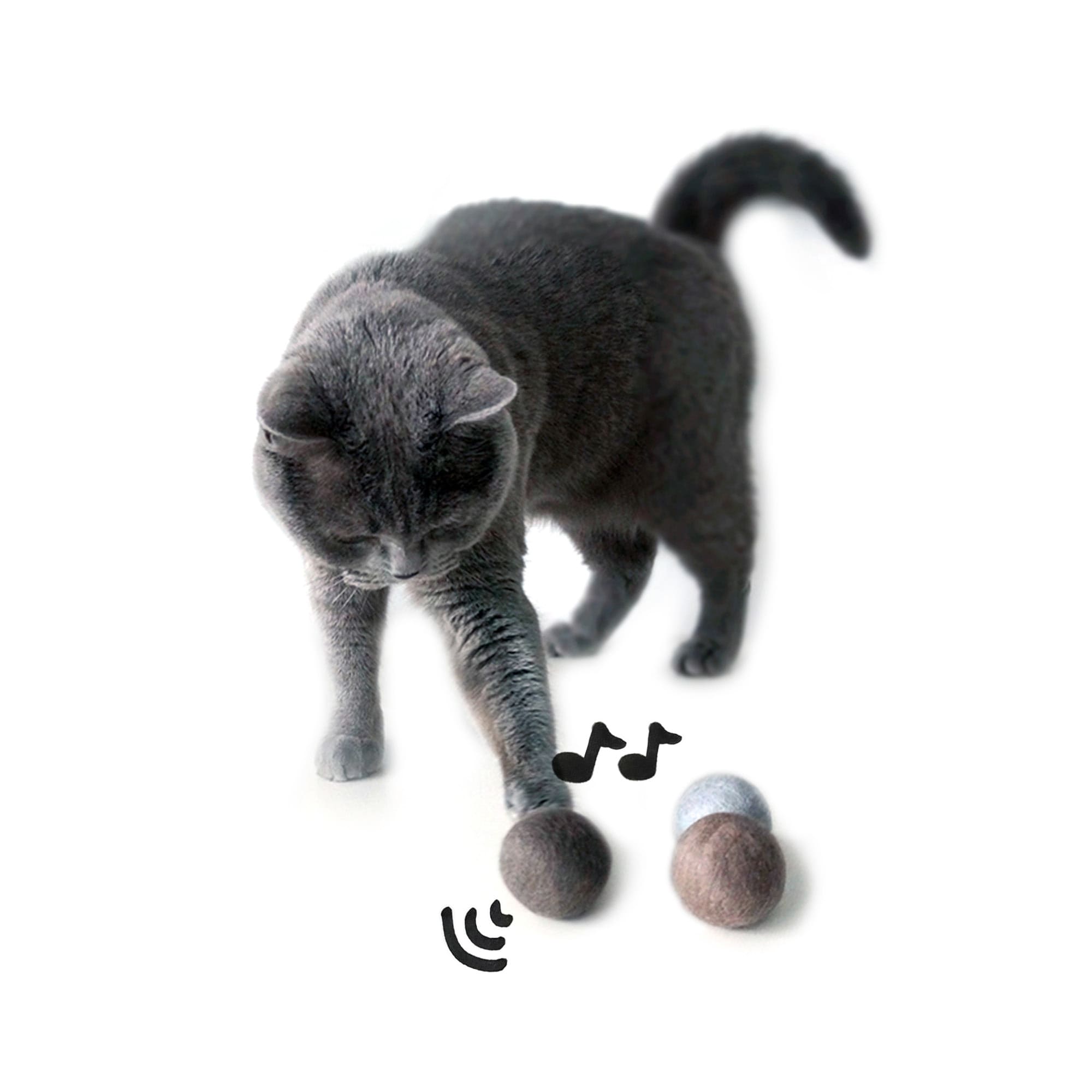 Katzentakt | Filz-Spielbälle mit Glocke für aktive Stubentiger