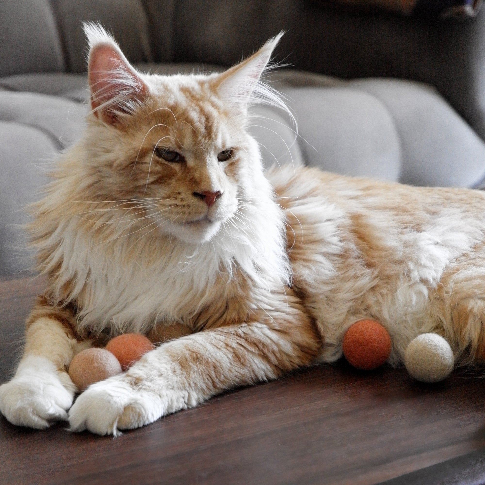 Fayla | Handgefertigte Filzbälle für Katzen im Naturton