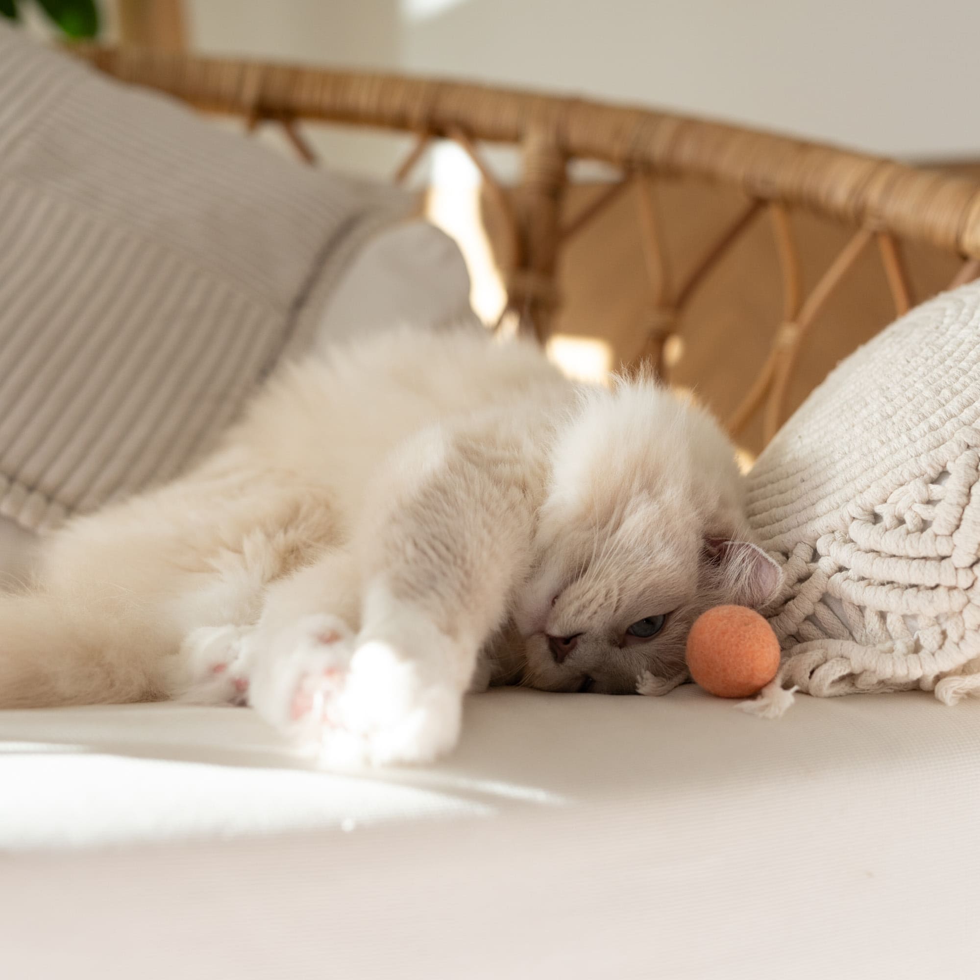 Fayla | Handgefertigte Filzbälle für Katzen im Naturton
