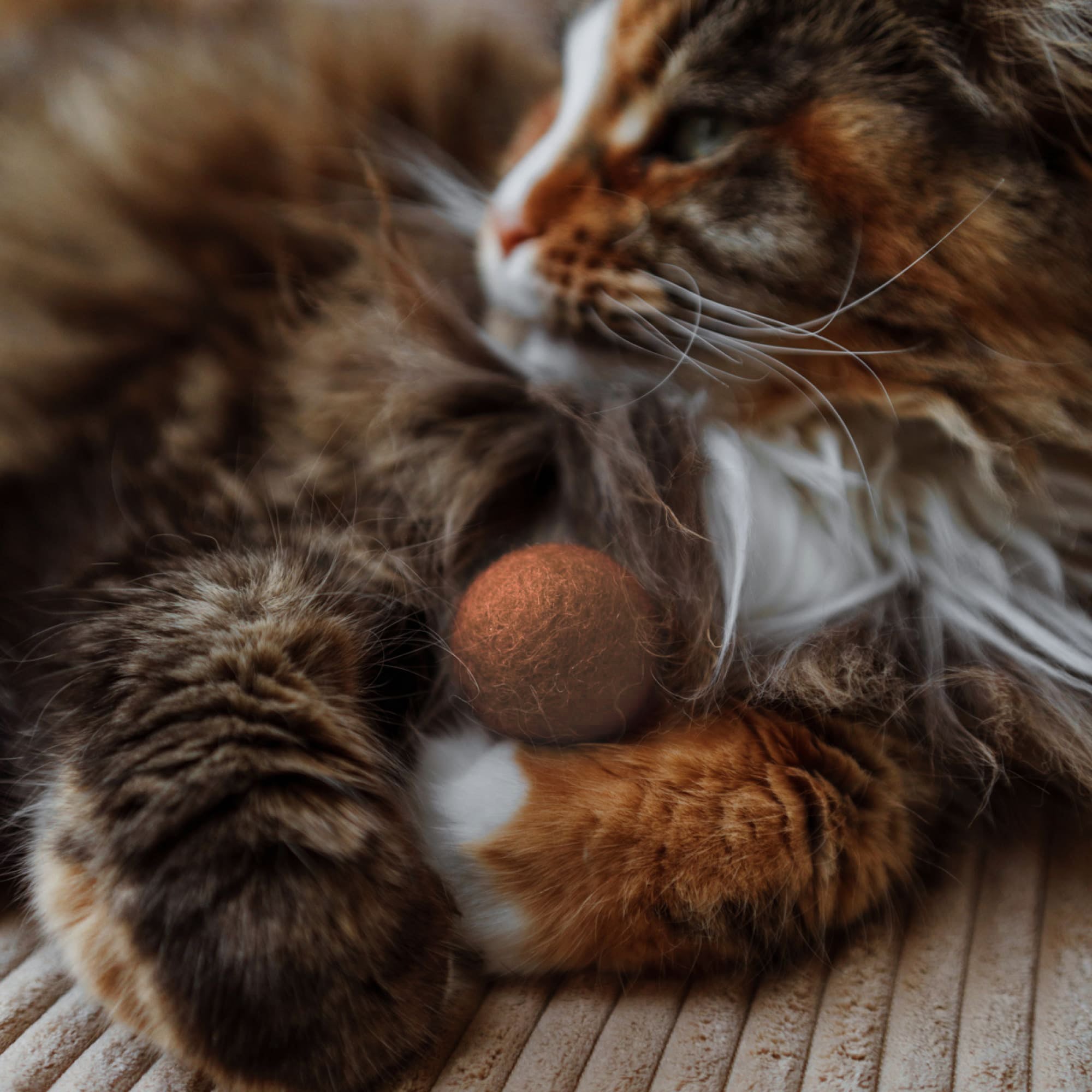 Fayla | Handgefertigte Filzbälle für Katzen im Naturton
