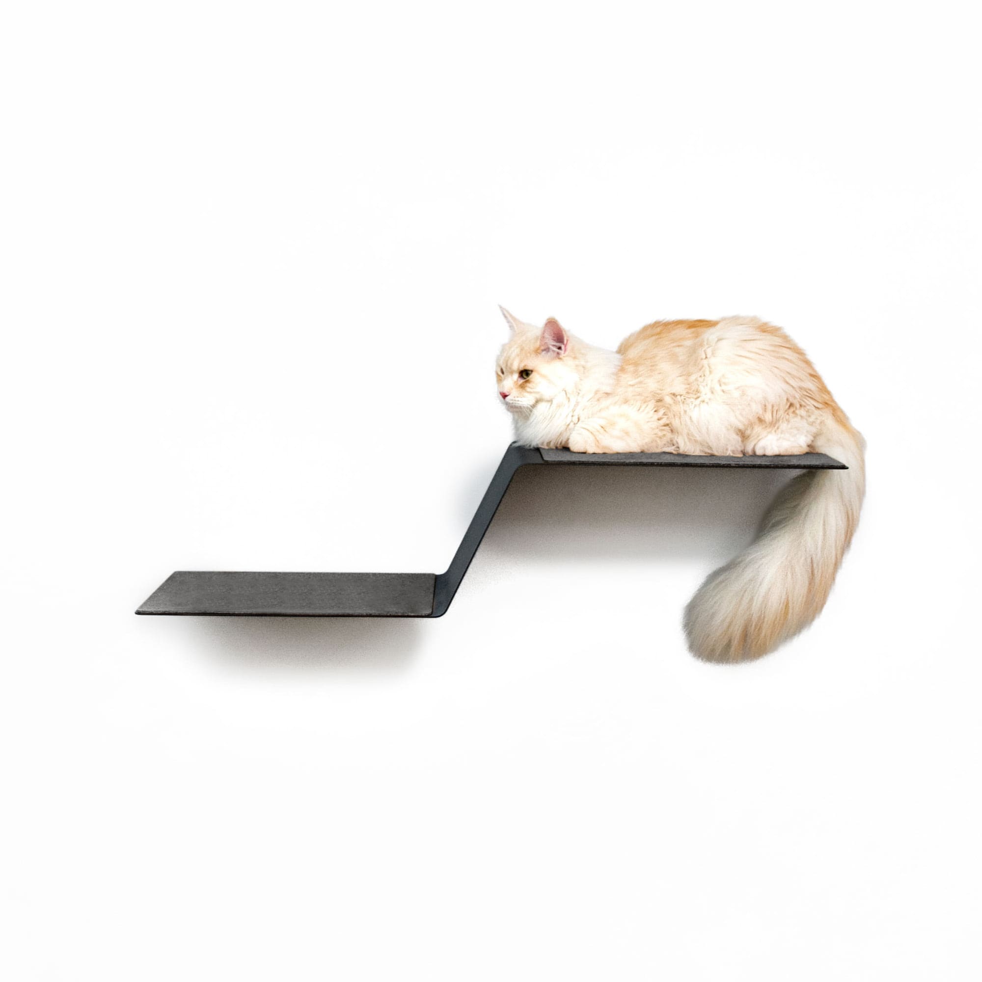 Katzen Wand Board weiß