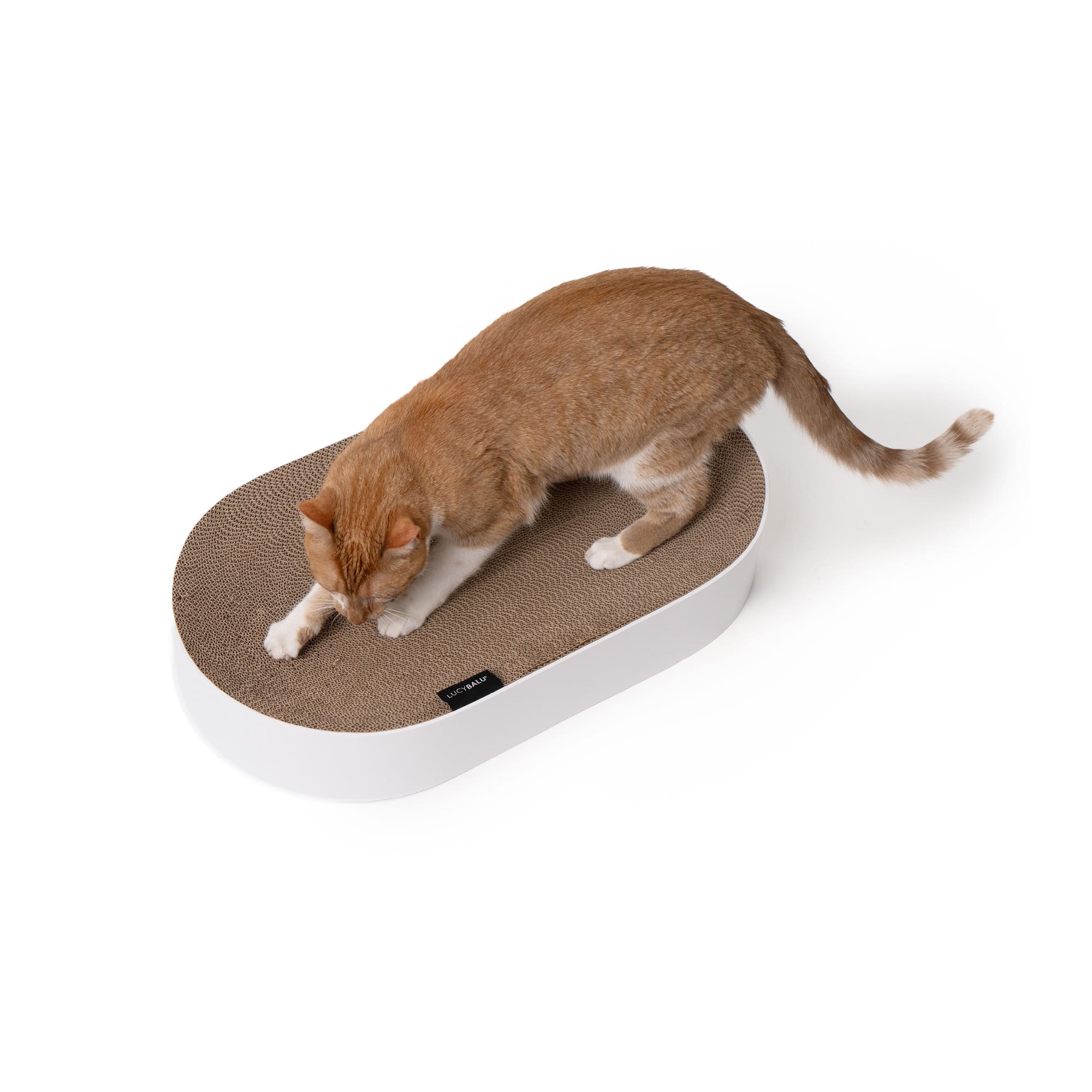 KratziLounge | Ovales Katzenbett mit integrierter Kratzfläche aus Karton
