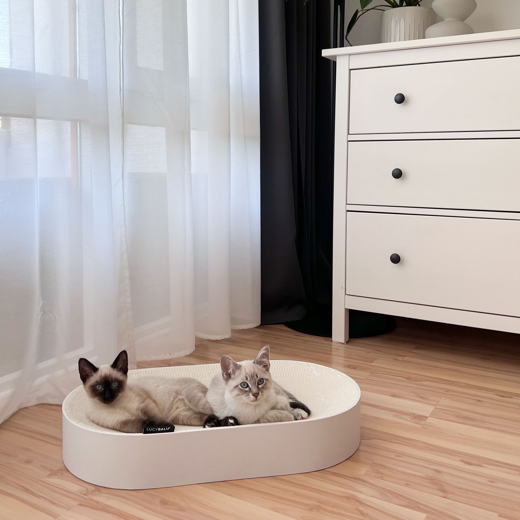 KratziLounge | Ovales Katzenbett mit integrierter Kratzfläche aus Karton