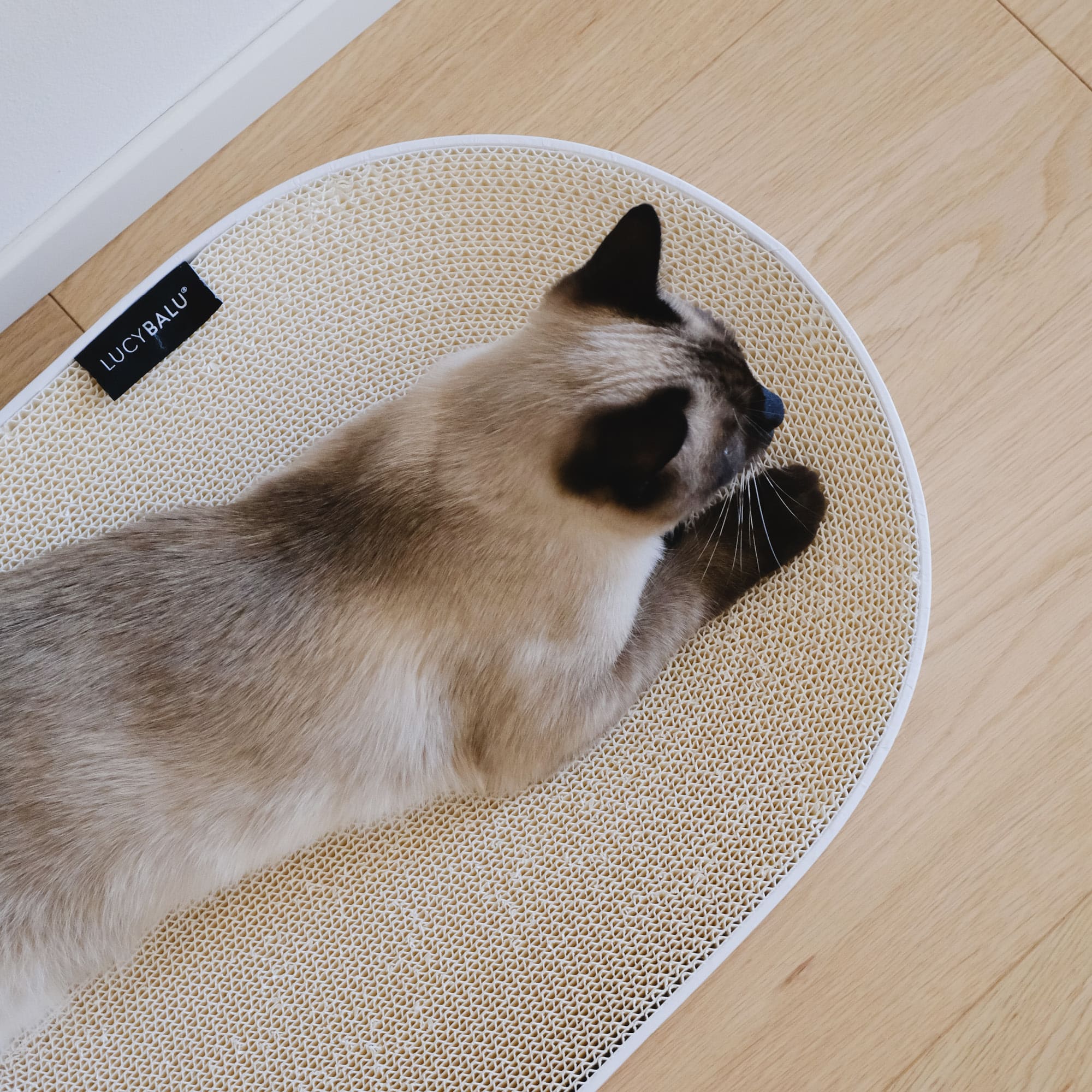 KratziLounge | Ovales Katzenbett mit integrierter Kratzfläche aus Karton