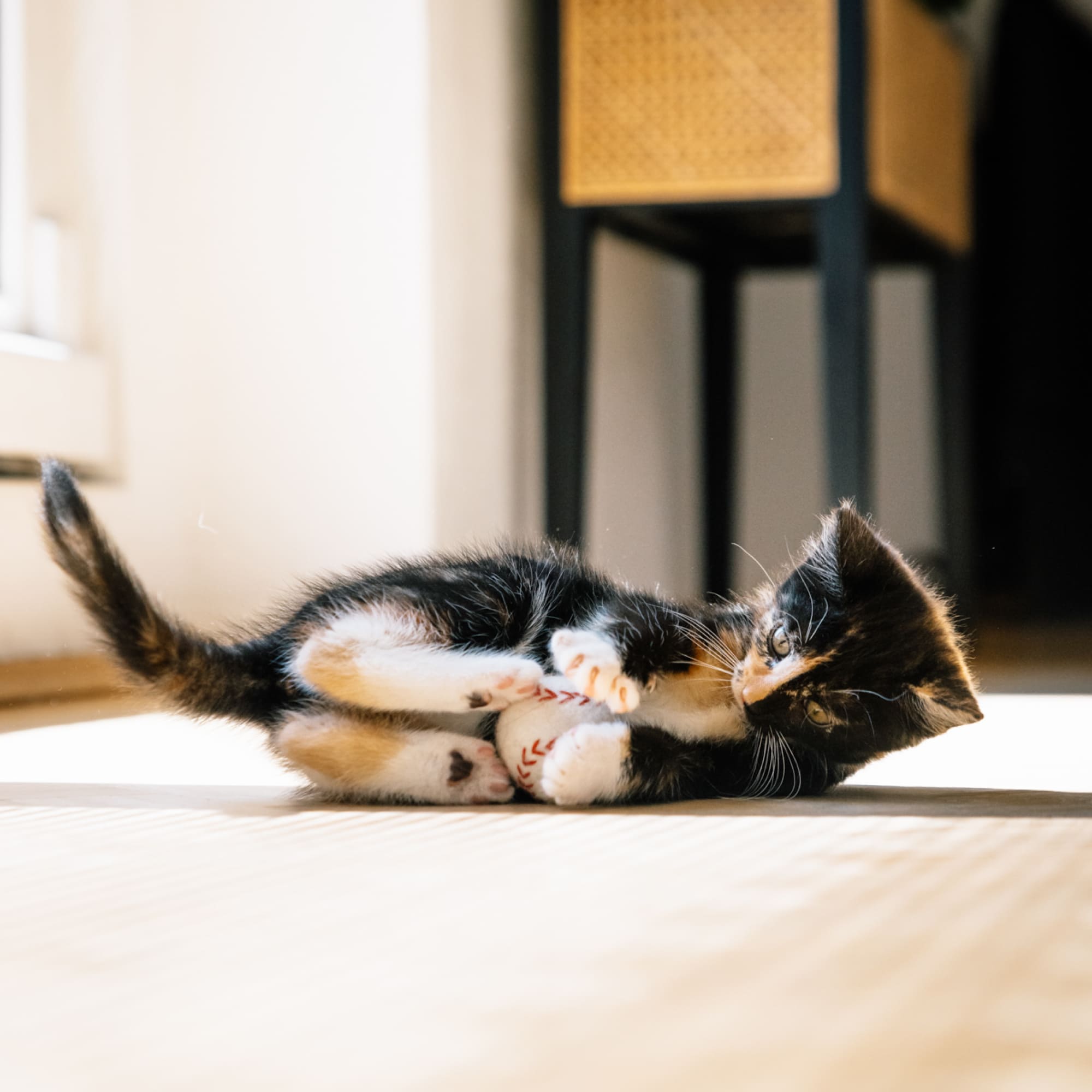 Tigro | Sportliche Filzspielbälle für Katzen im Ball-Design