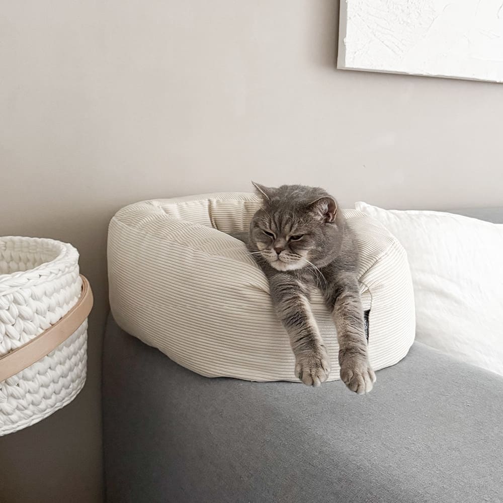 SamtSloop | Rundes Katzenbett mit Kuschelrand