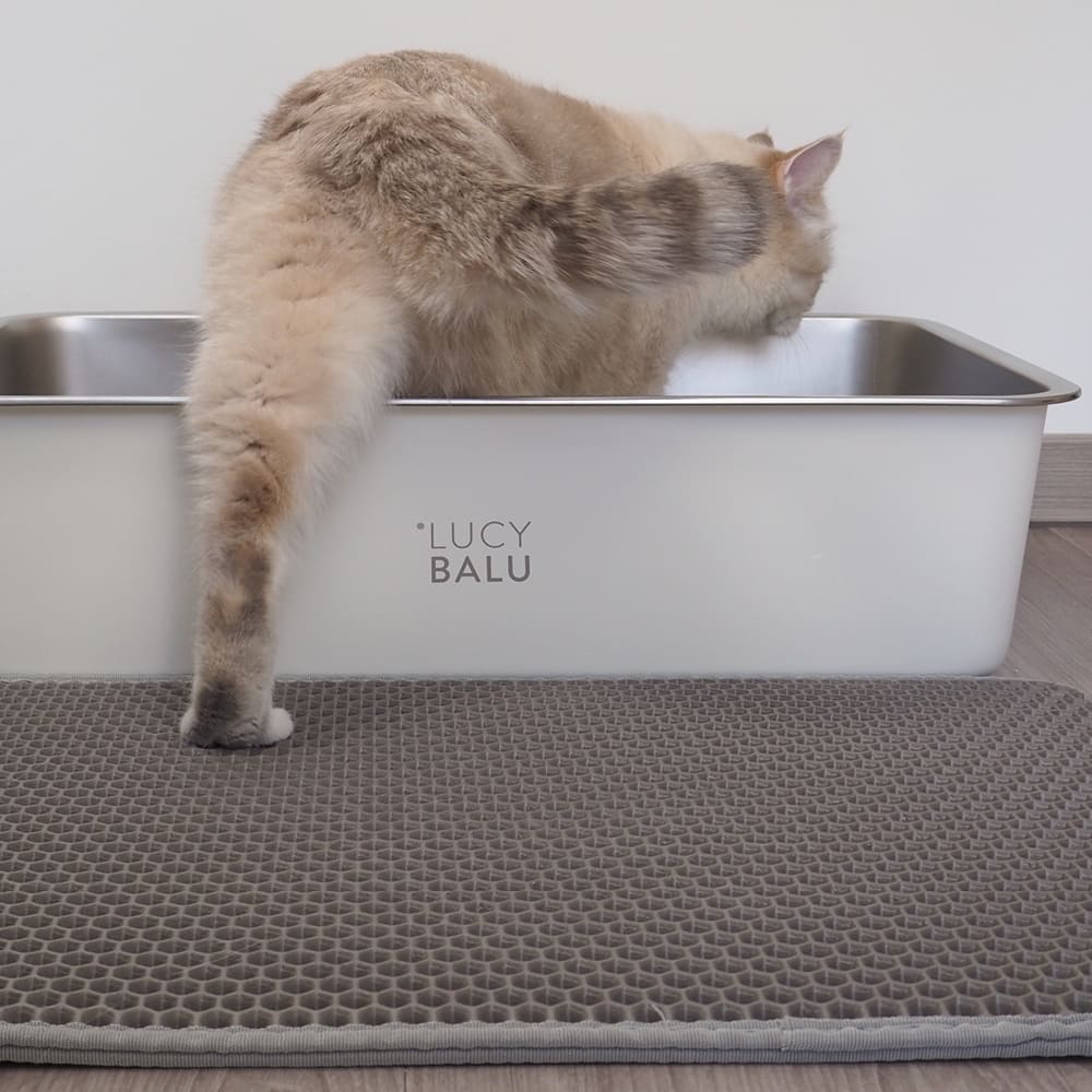 Mikato | Rutschfeste Katzenstreumatte mit Wabenstruktur