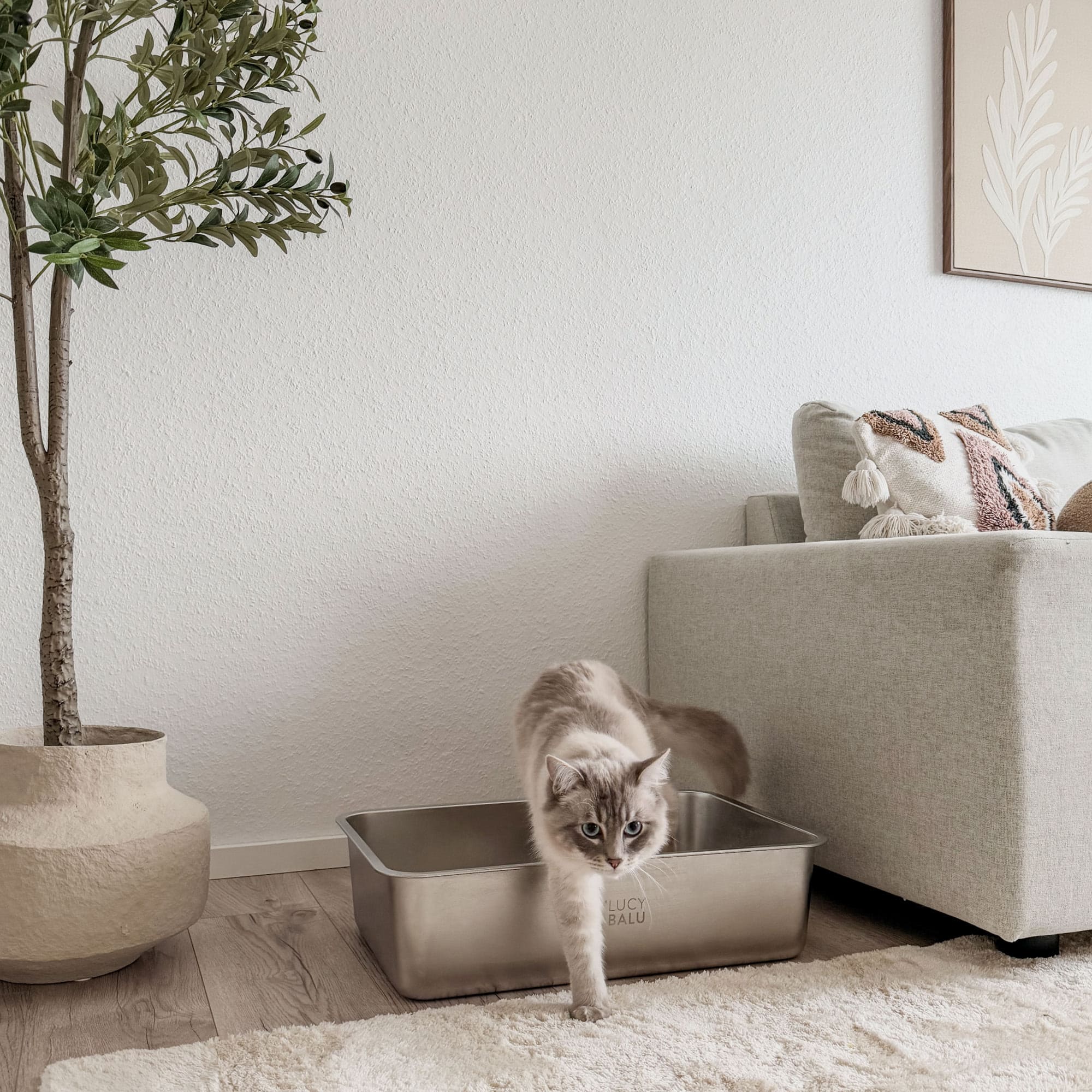 PuraPet | Edelstahl-Katzentoilette mit modernem Design