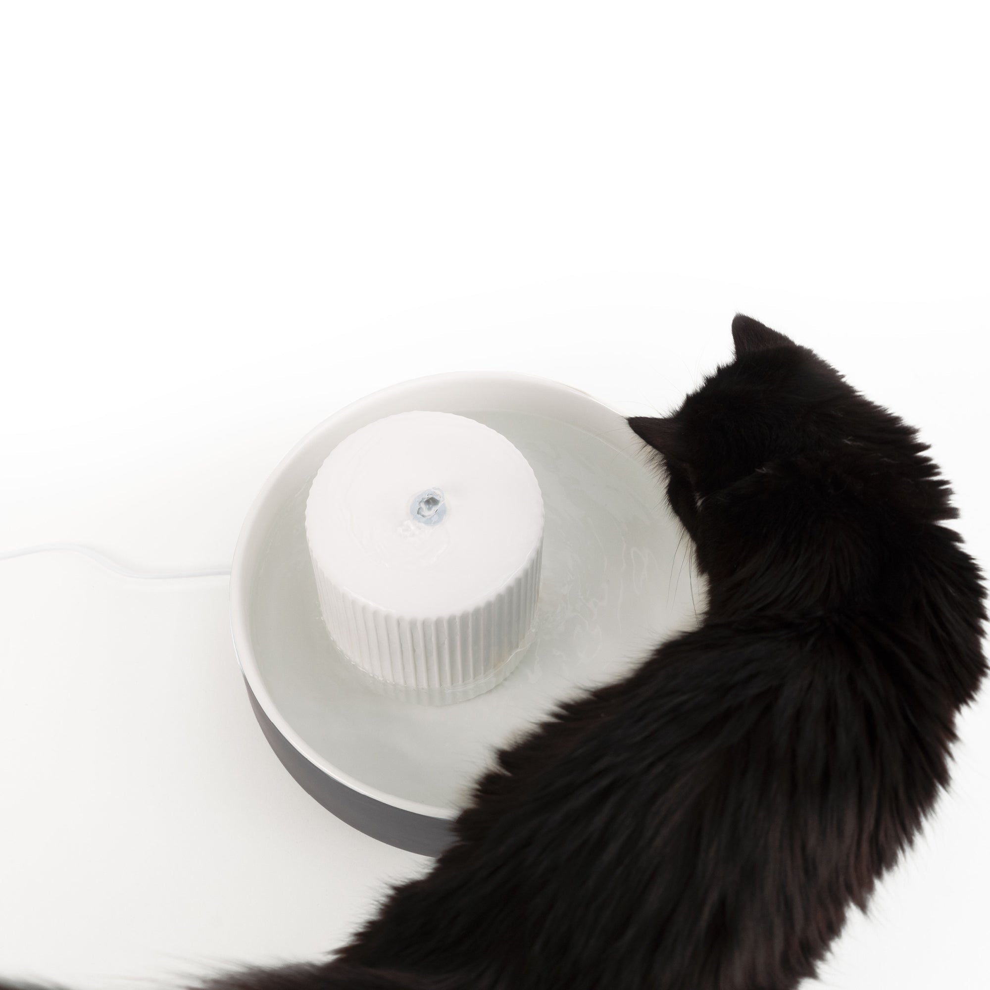 AquaPaws | Keramik-Trinkbrunnen für Katzen & Hunde