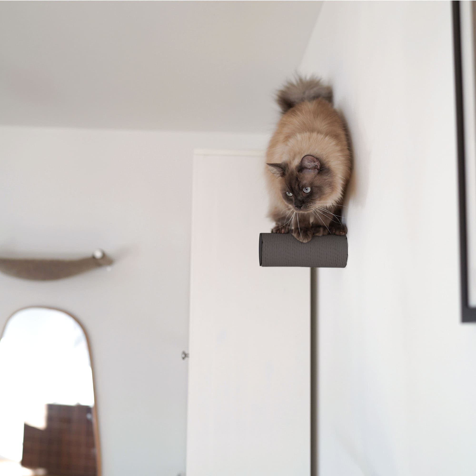 Taviro | Wand-Kratzstamm für Katzen zur vertikalen Kletterwand-Erweiterung