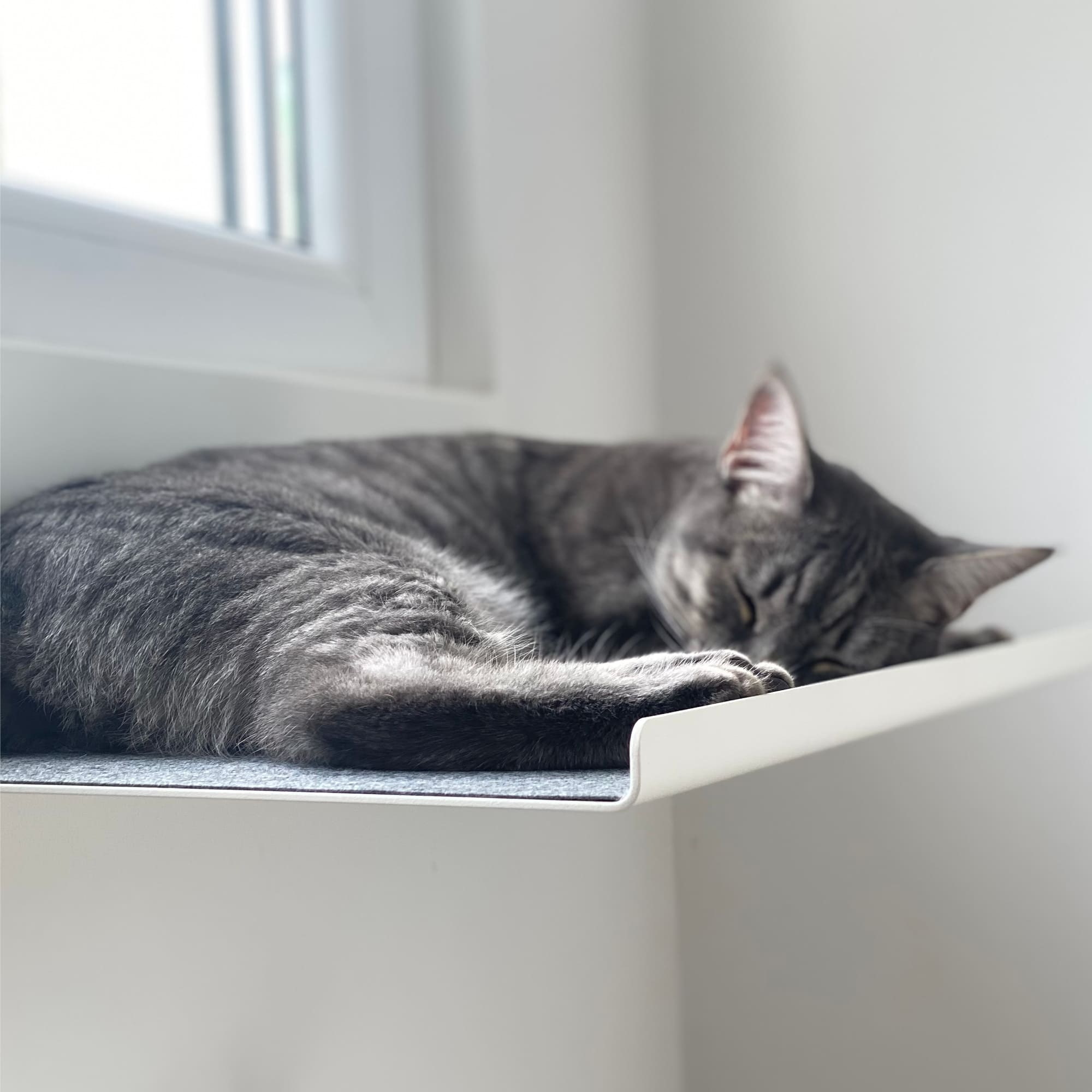 Hochsteg | Gerade Wandliege für Katzen