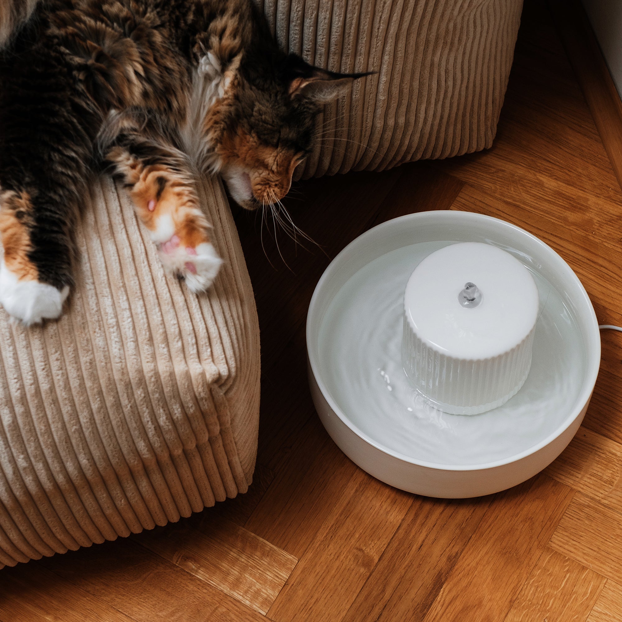 AquaPaws | Keramik-Trinkbrunnen für Katzen & Hunde