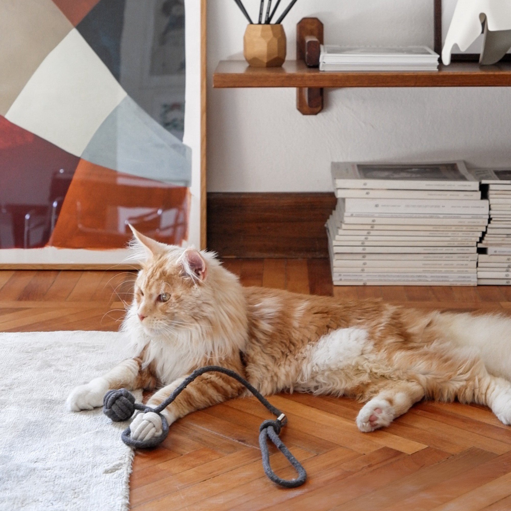 Tatzenspiel | Knotenspielbälle mit Schleuderband für Katzen
