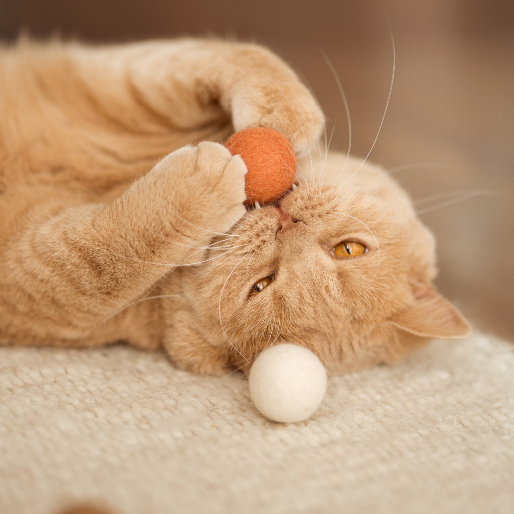Fayla | Handgefertigte Filzbälle für Katzen im Naturton