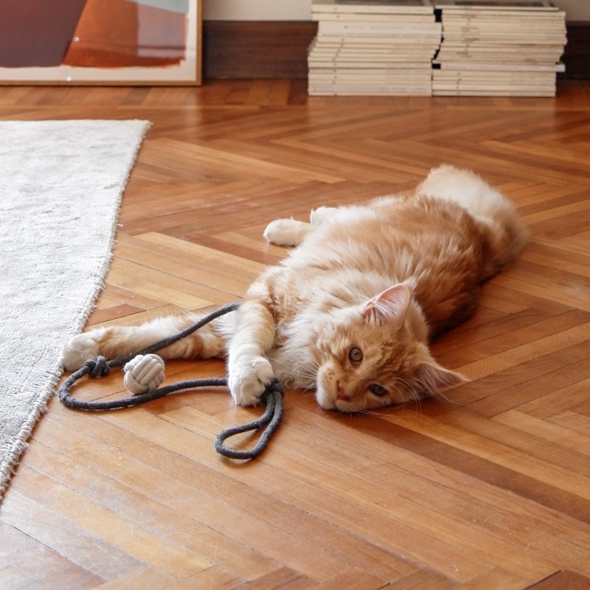 Tatzenspiel | Knotenspielbälle mit Schleuderband für Katzen