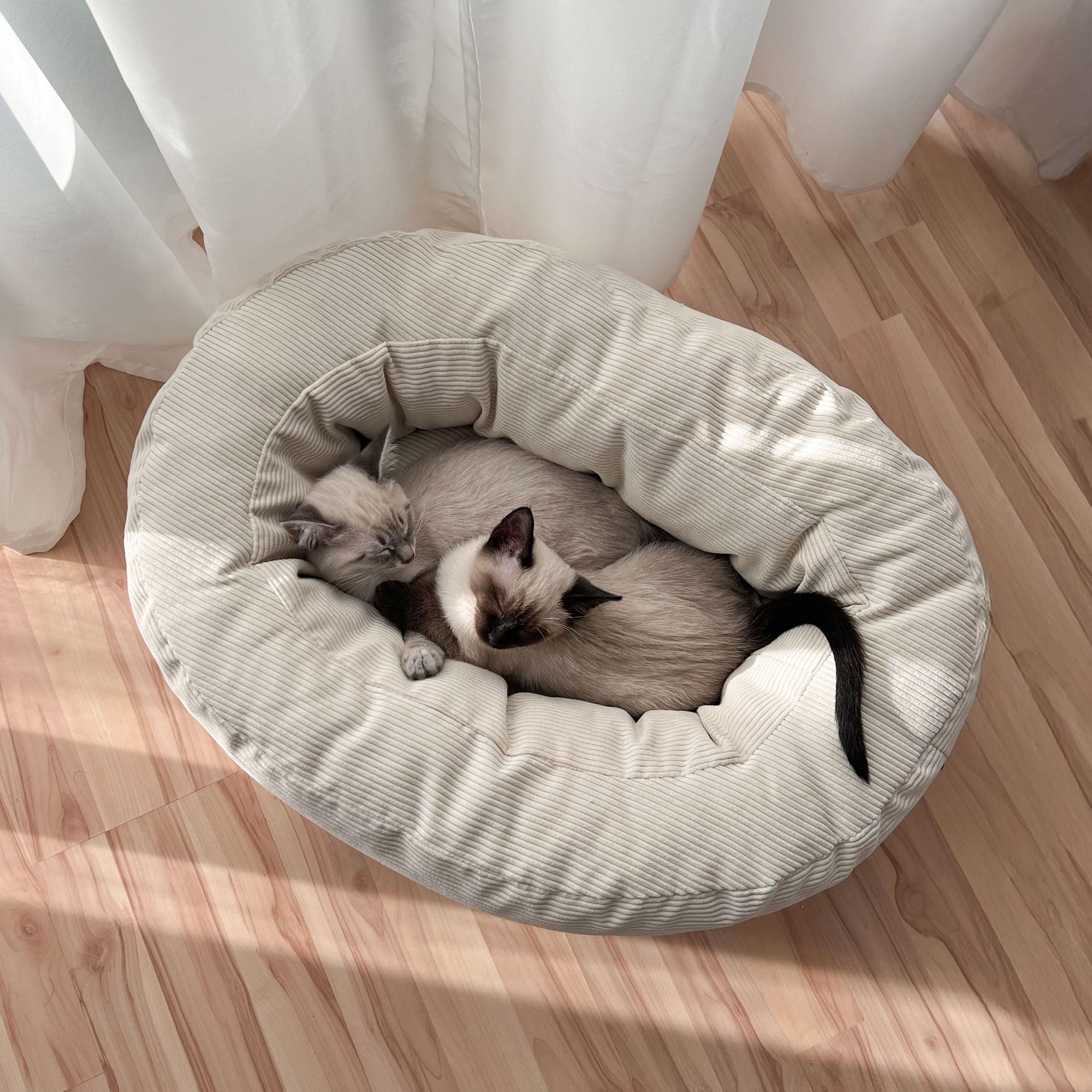 SamtSloop | Rundes Katzenbett mit Kuschelrand