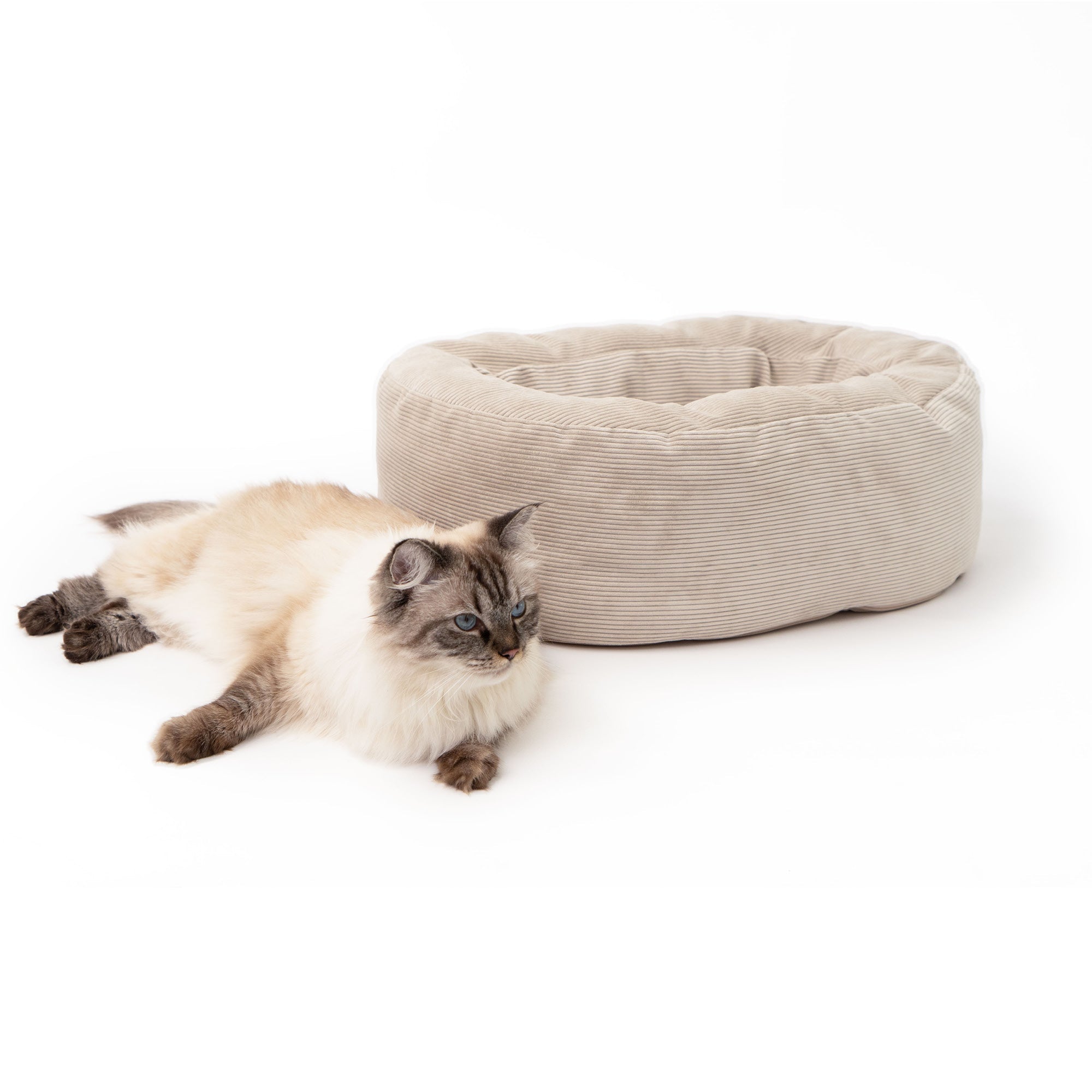 SamtSloop | Rundes Katzenbett mit Kuschelrand