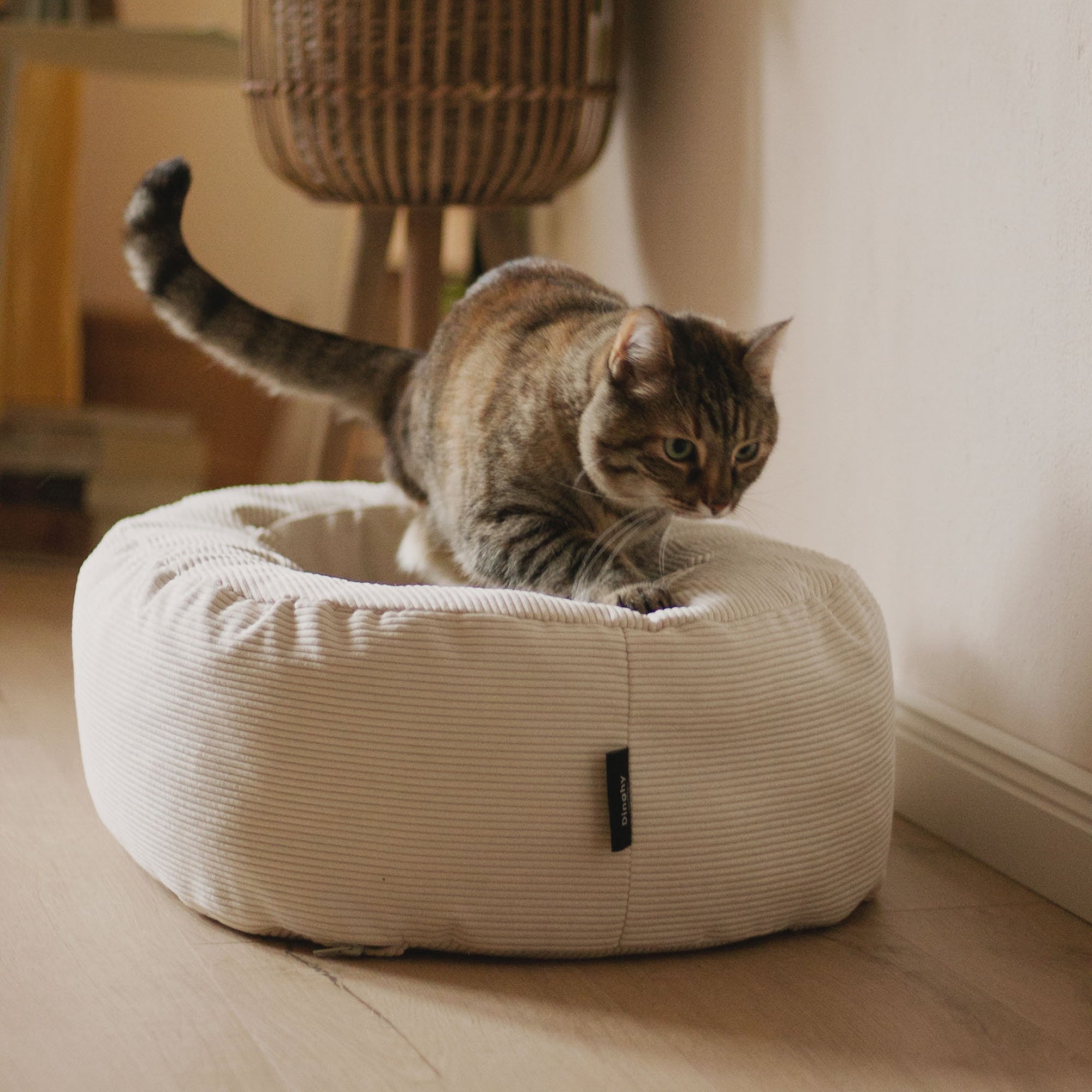 SamtSloop | Rundes Katzenbett mit Kuschelrand
