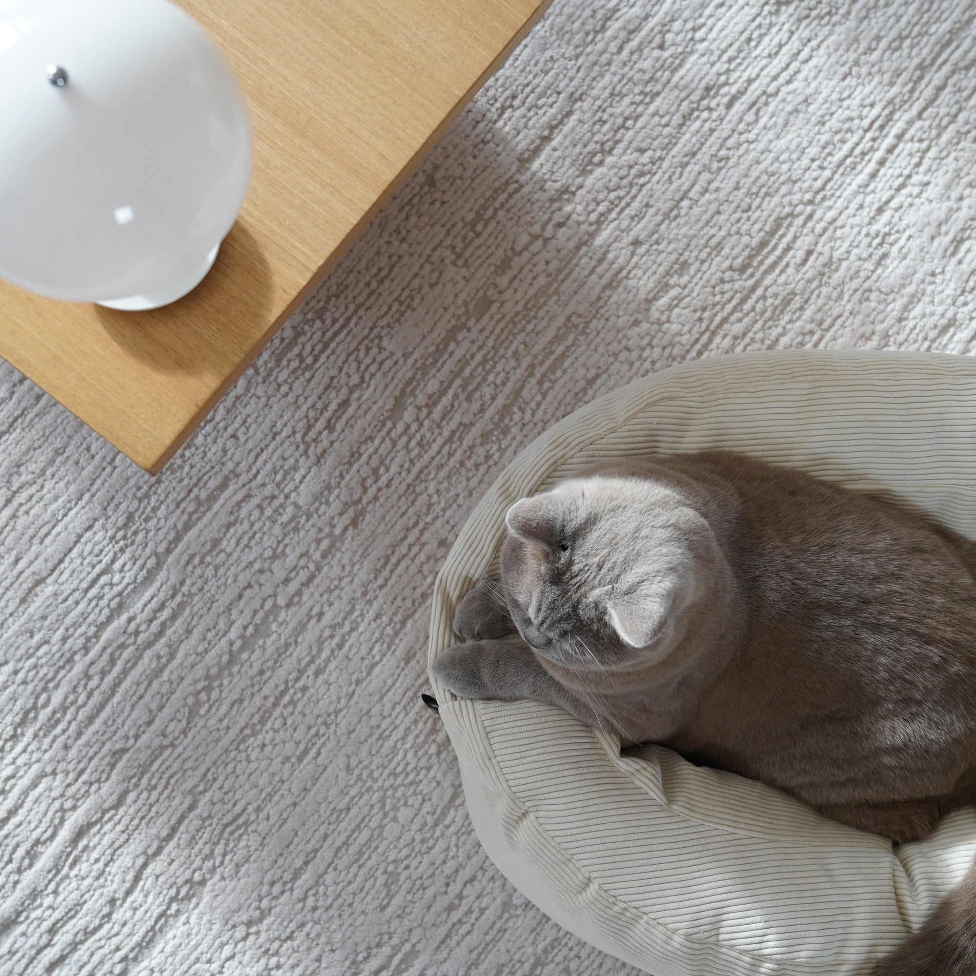 SamtSloop | Rundes Katzenbett mit Kuschelrand