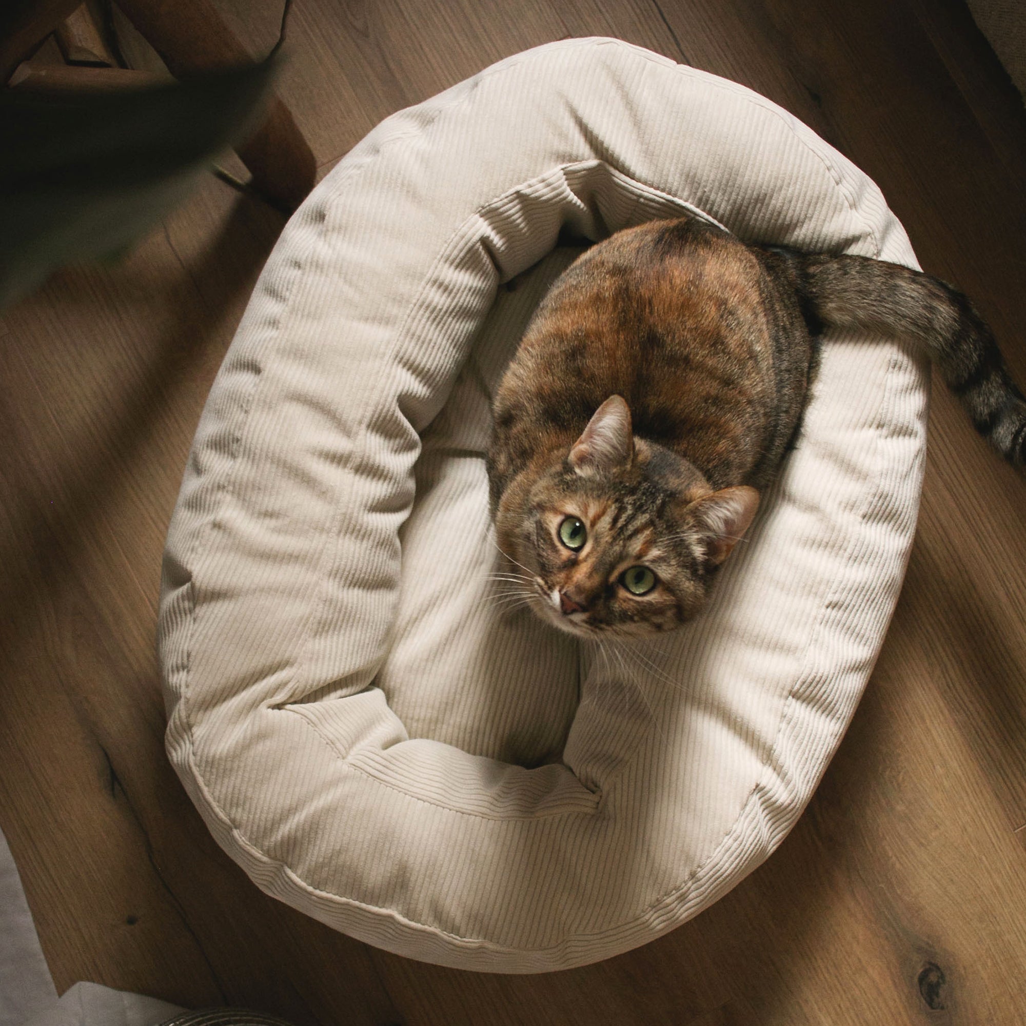 SamtSloop | Rundes Katzenbett mit Kuschelrand