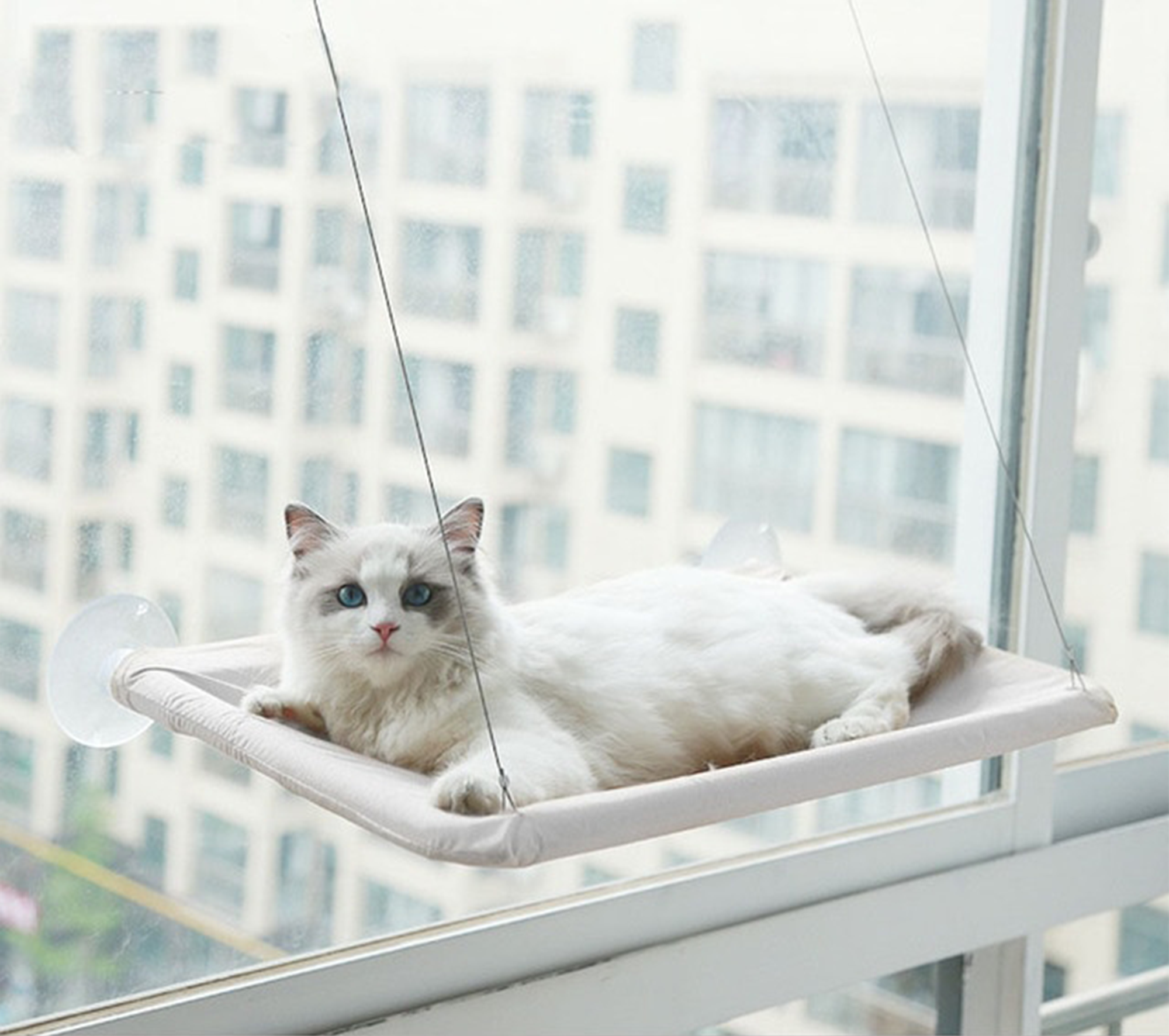 Pawelle | Fensterhängematte für Katzen – Sonnenplatz mit Aussicht