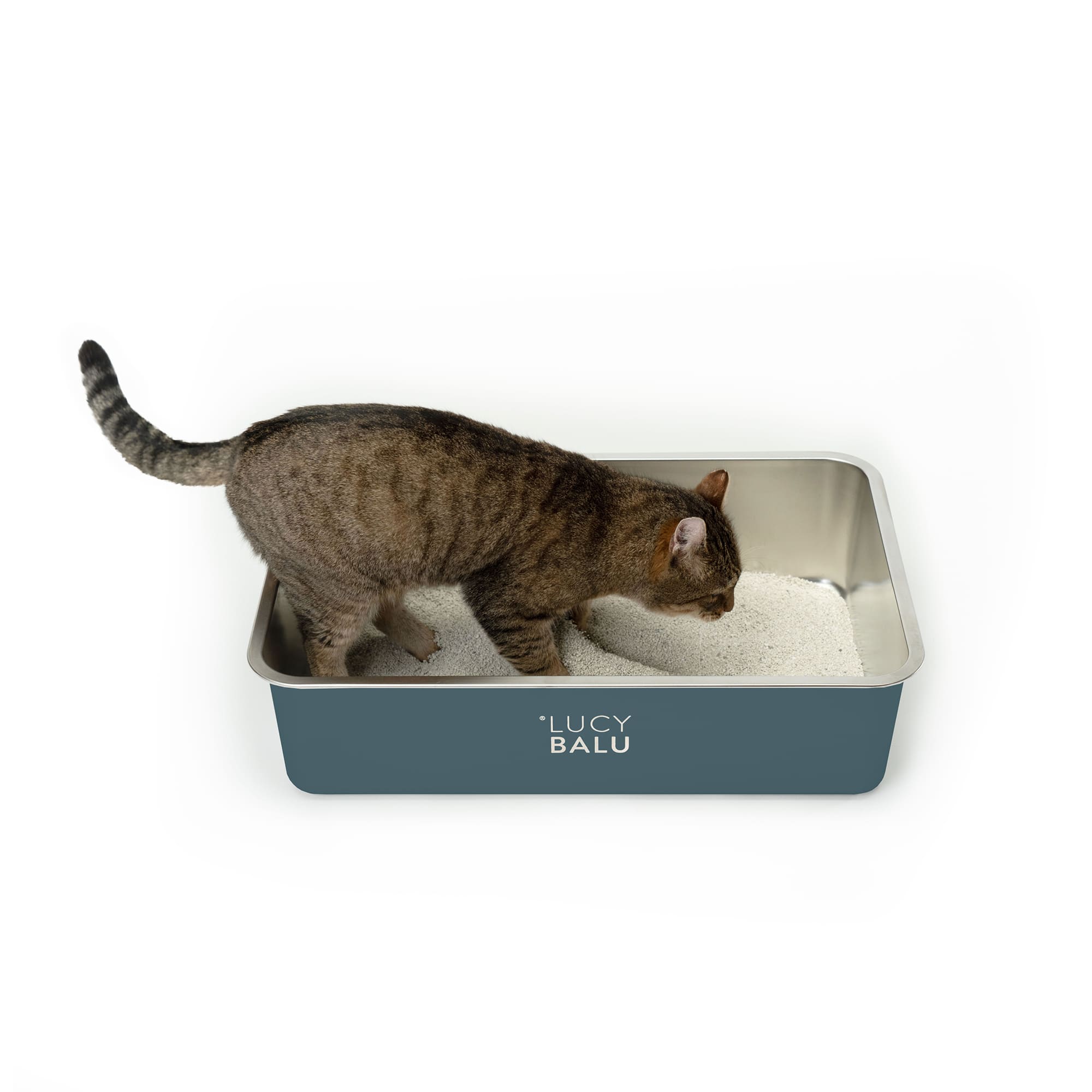 Katzentoilette mit Anti-Rutsch Noppen