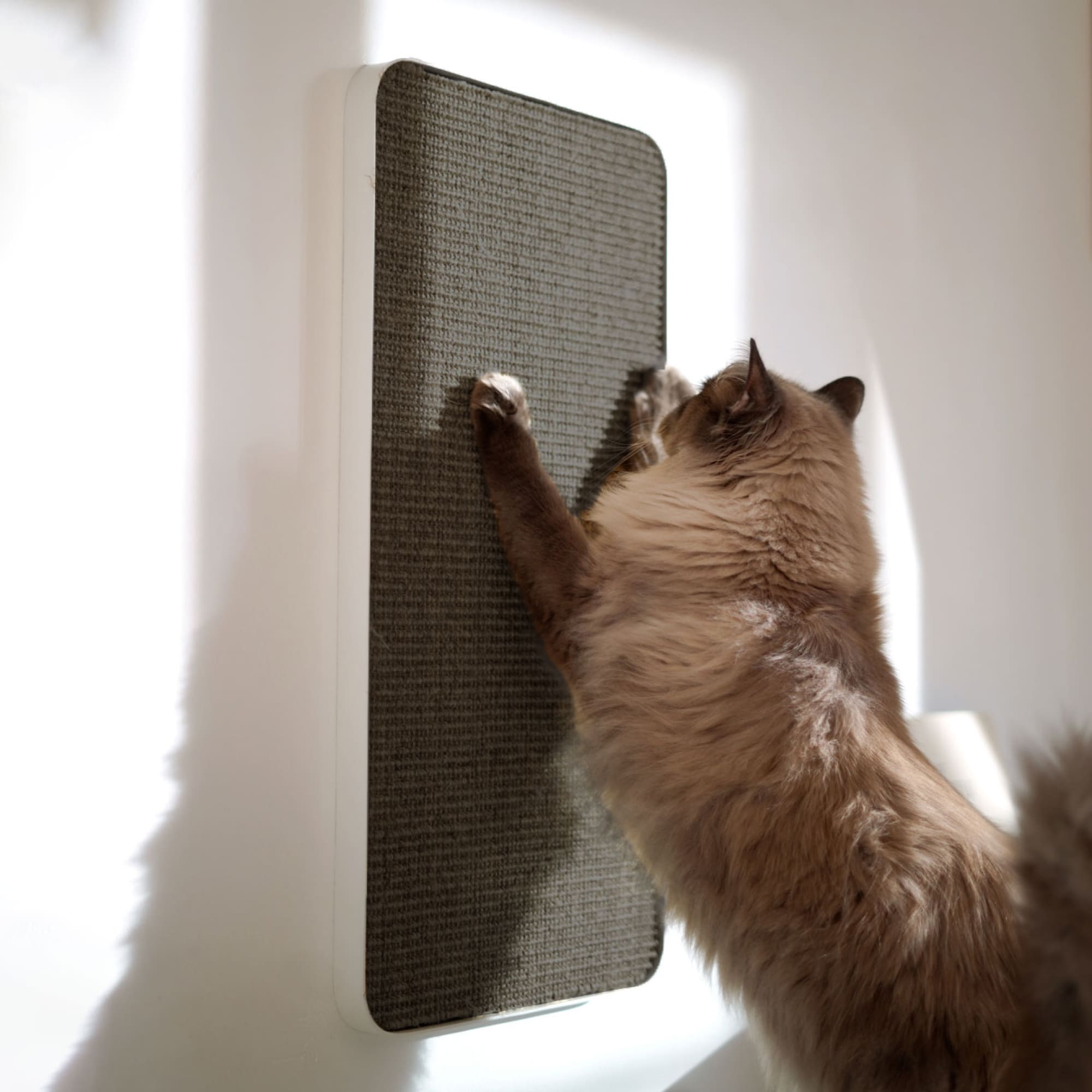 schlichtes Katzenkratzbrett zur Montage an der Wand
