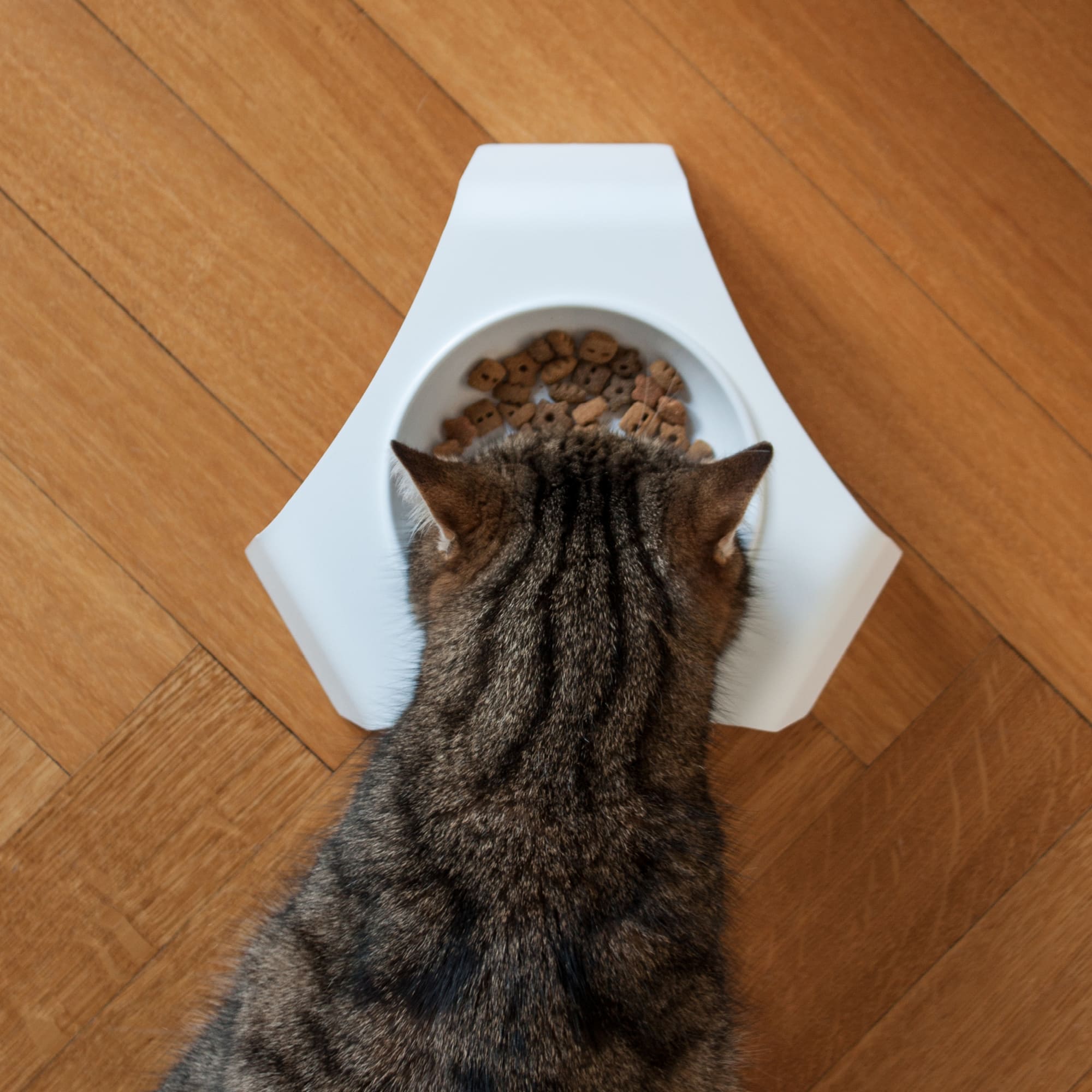 Futterfreude | Erhöhter Katzennapf mit Edelstahlschale