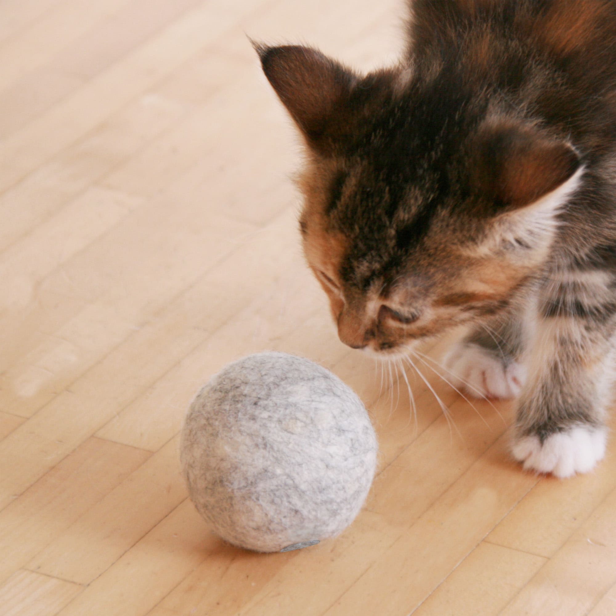 MieziMoos | Nachfüllbarer Filzball mit Bio-Katzenminze
