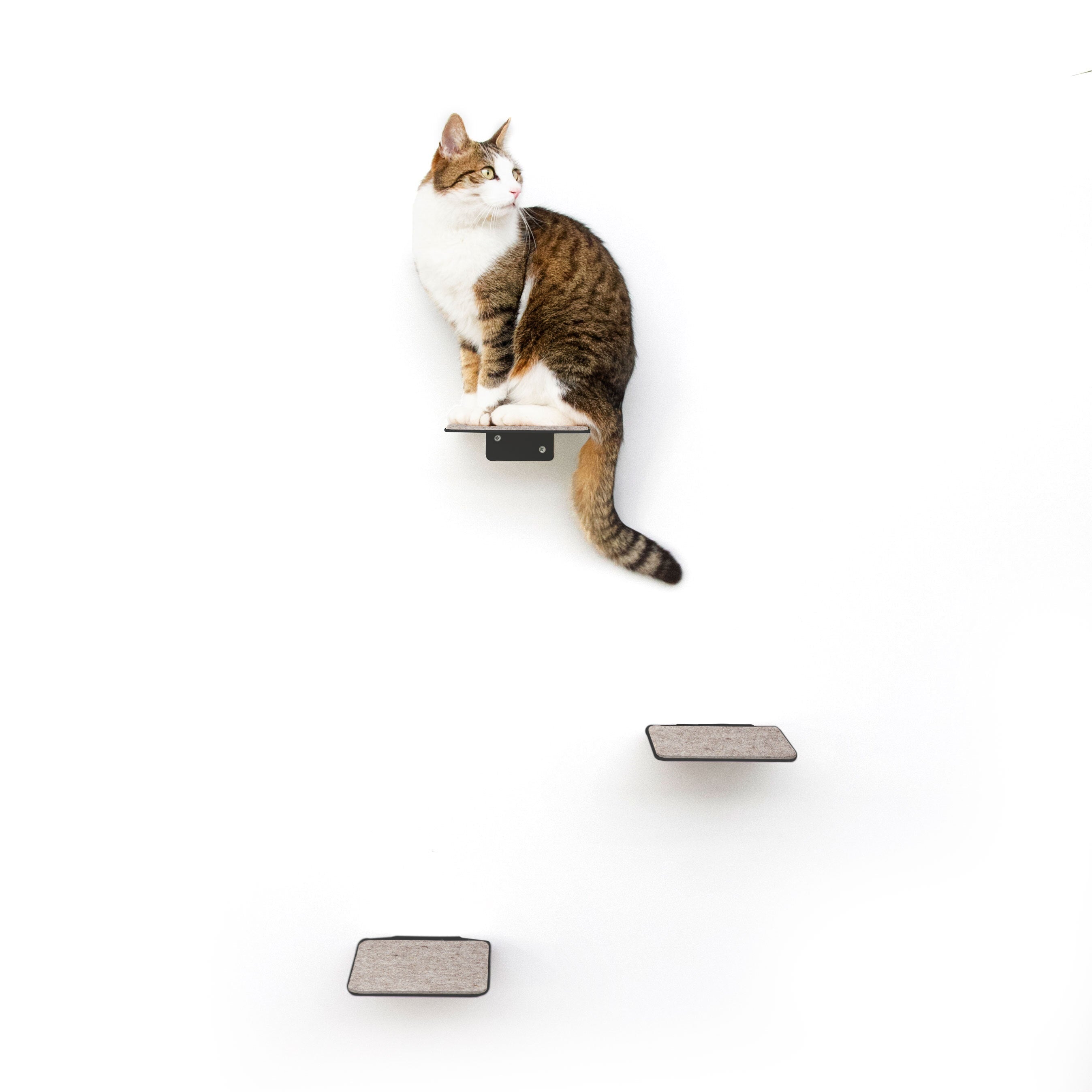 Katzenstufen für Katzentreppe Weiß