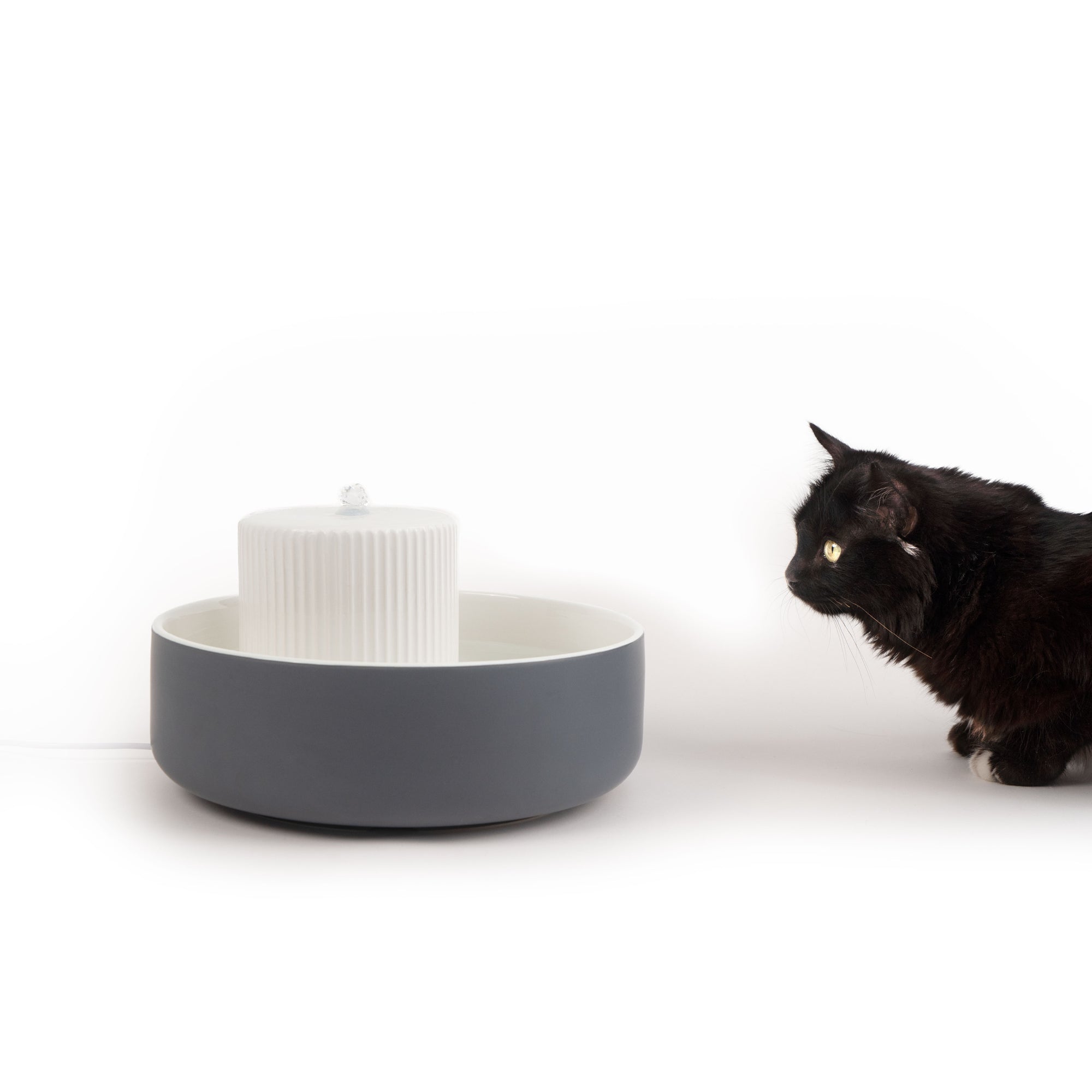 Designer Katzen Trinkbrunnen