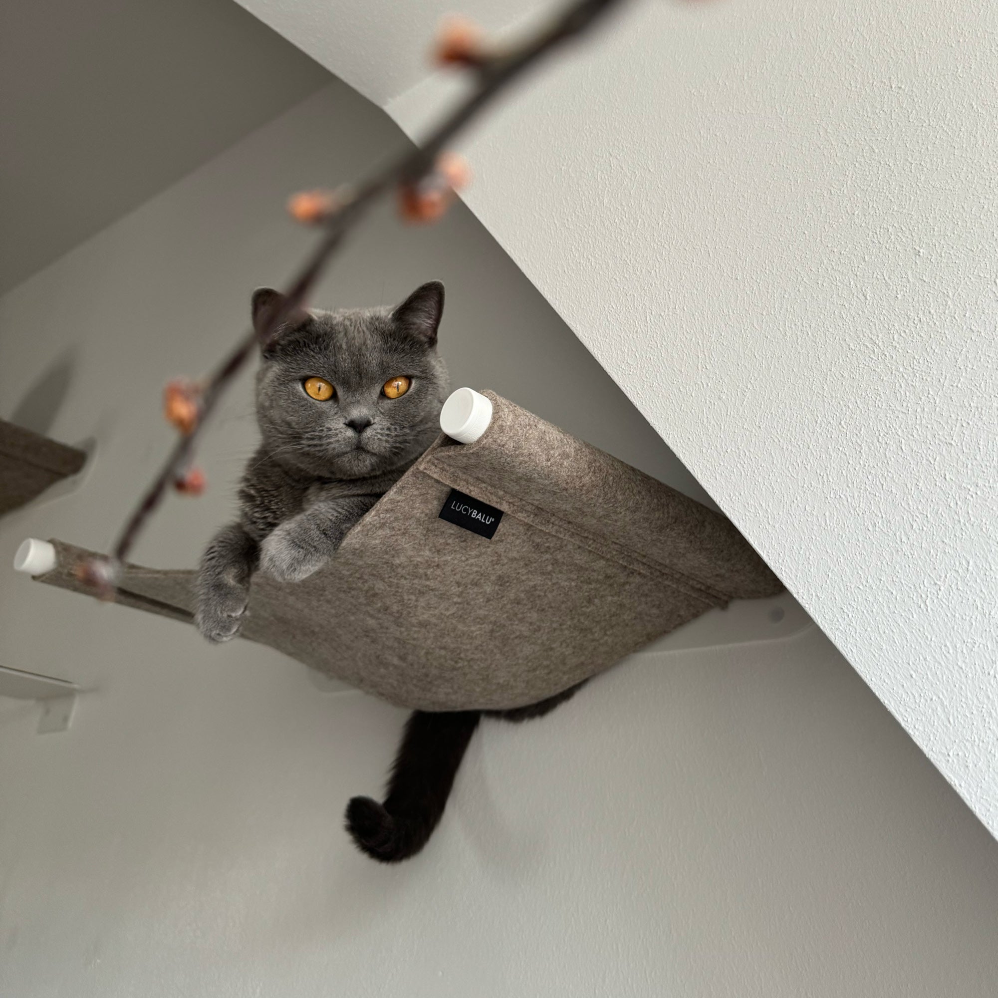 NolaPet | Wandmontierte Katzenhängematte für gemütliche Ruheplätze