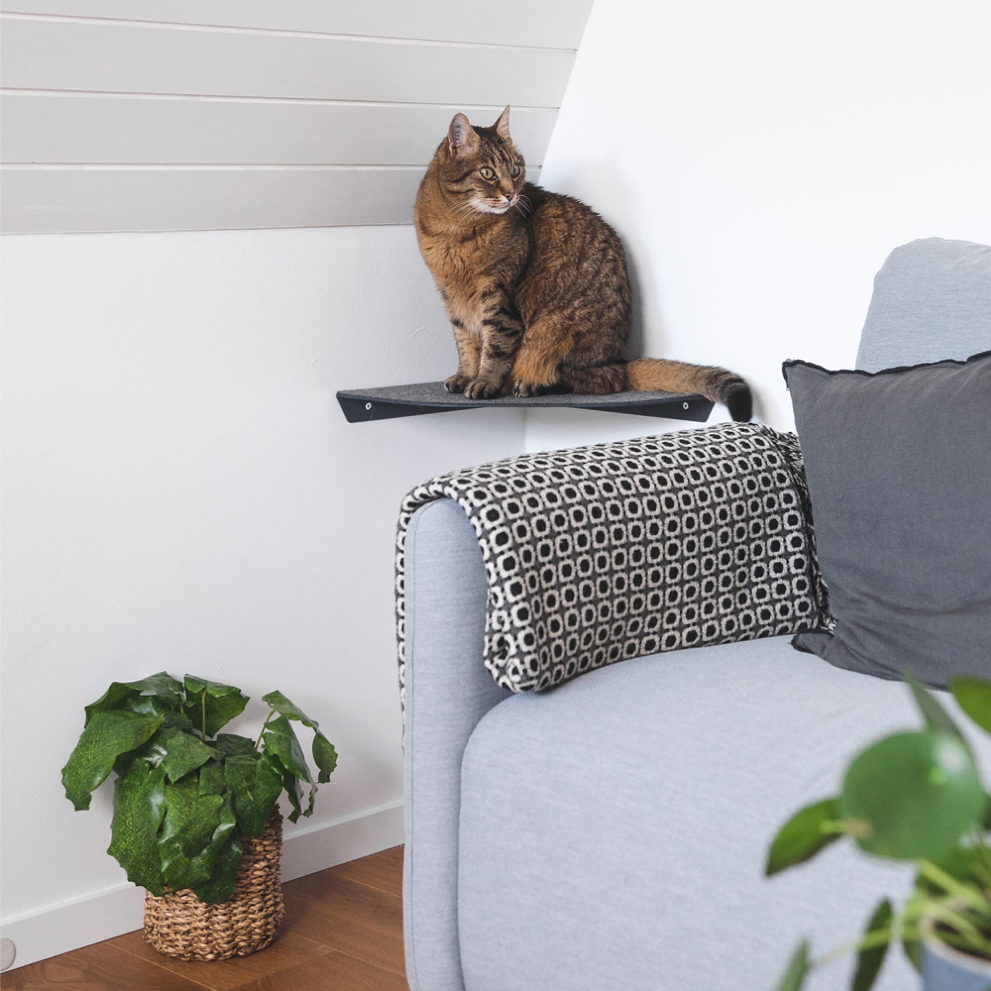 WandWunder | Eckige Katzen-Wandliege mit Filzauflage