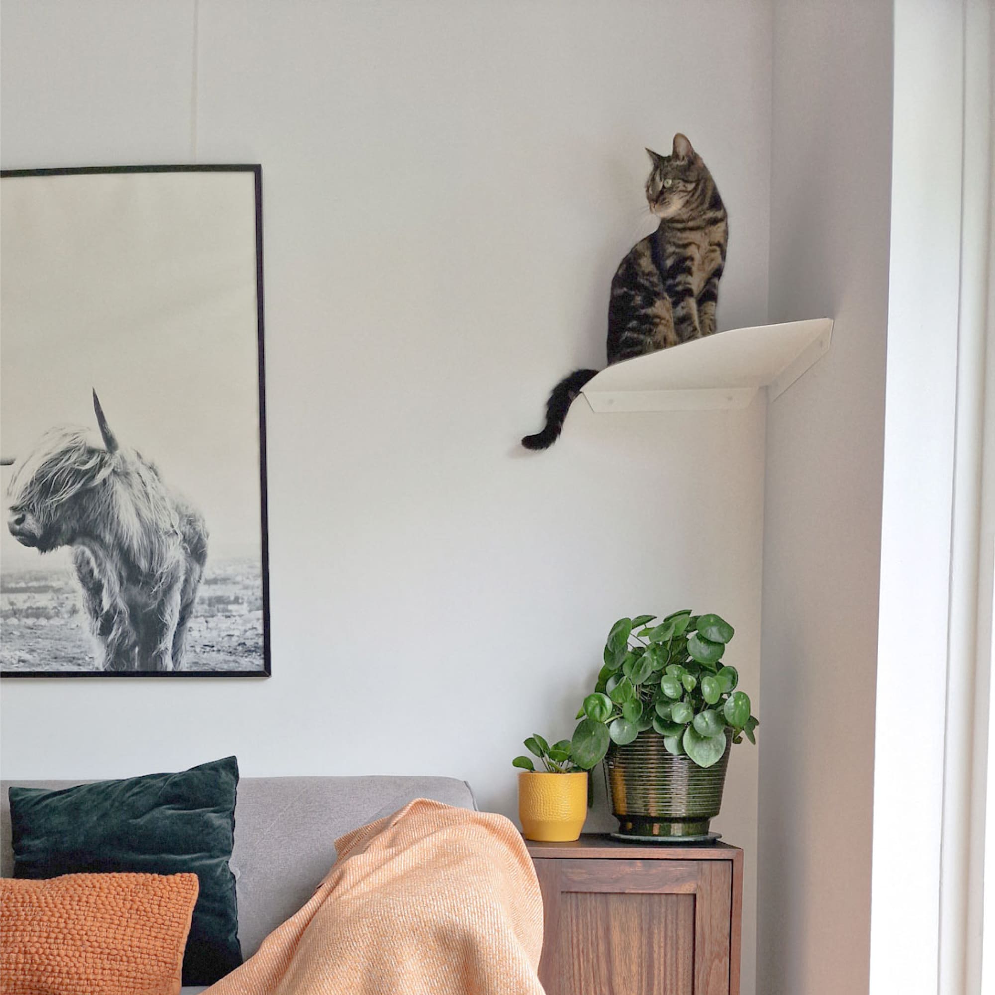 WandWunder | Eckige Katzen-Wandliege mit Filzauflage