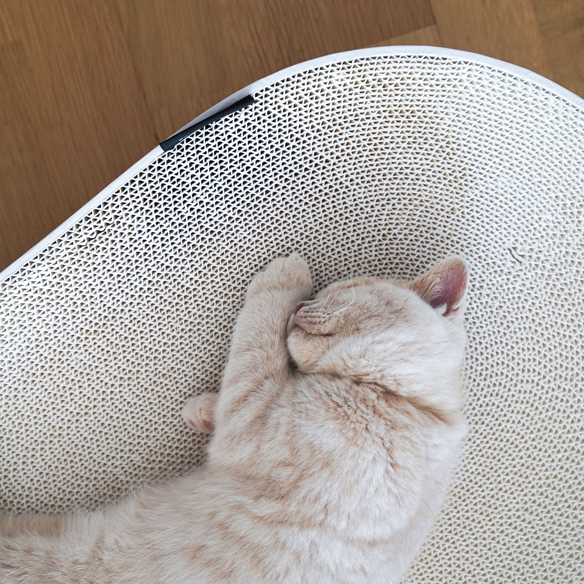 KratziLounge | Ovales Katzenbett mit integrierter Kratzfläche aus Karton
