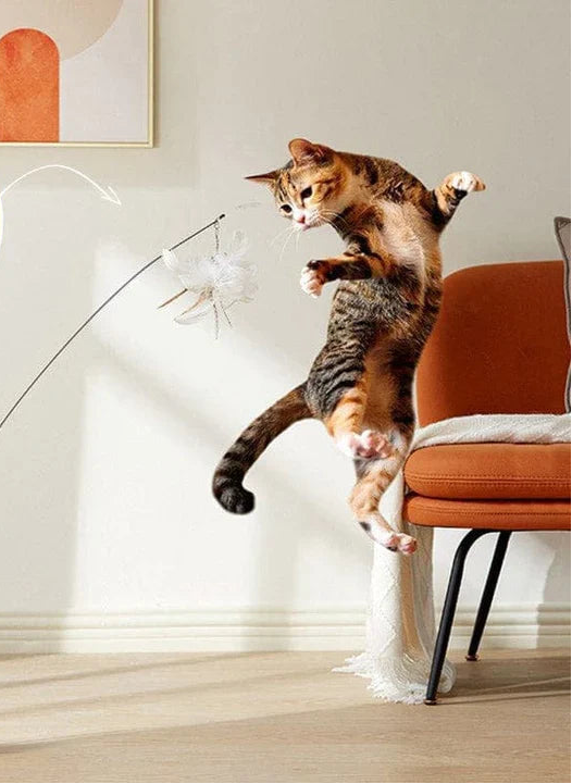 Leo | Premium Katzenspielstab mit 5 Feder-Vögeln