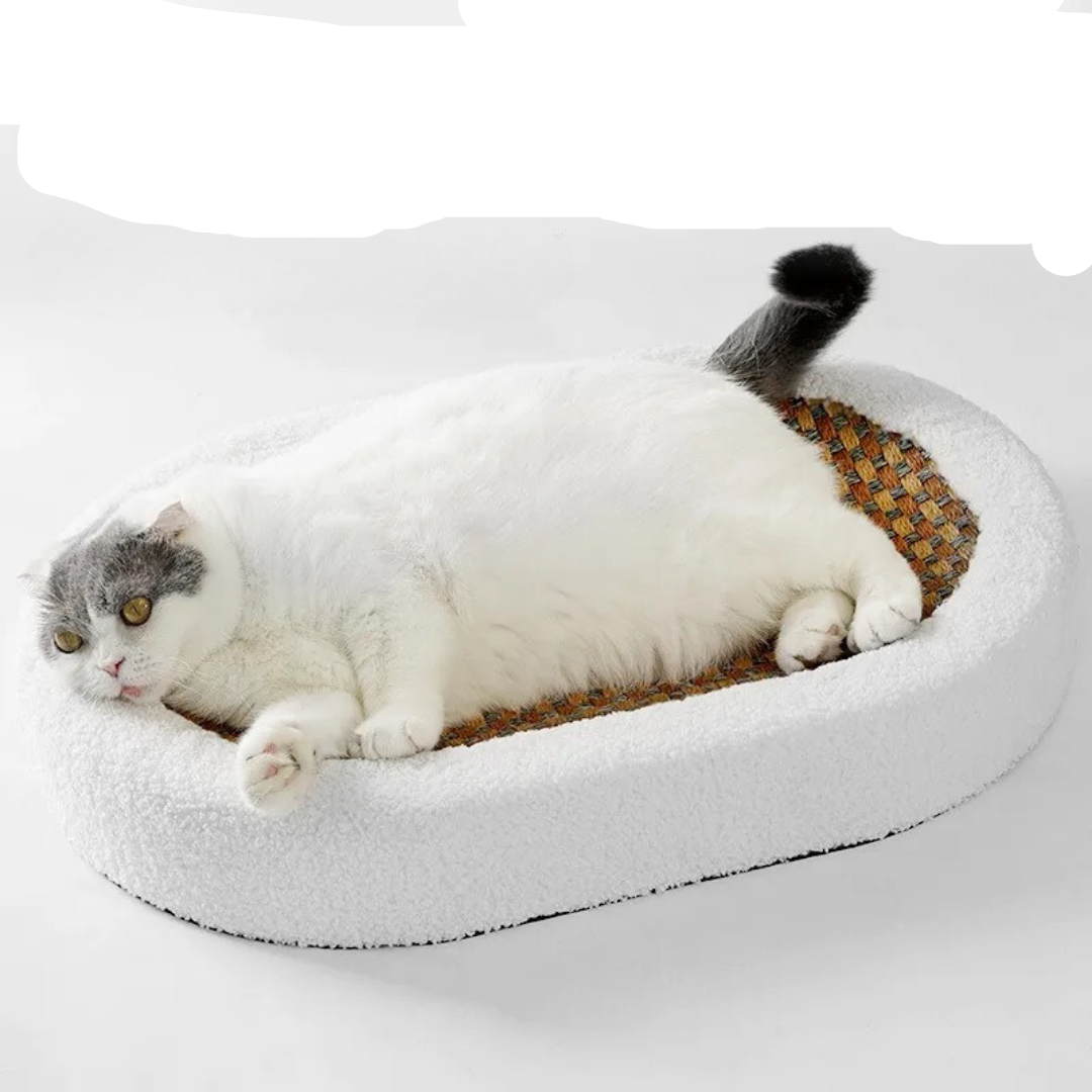Ella | Komfort Katzenbett mit integrierter Kratzfläche