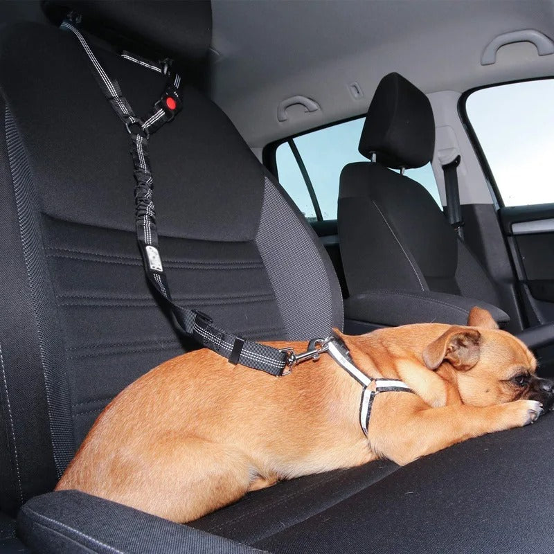 Max | Verstellbarer Hunde-Sicherheitsgurt für Autofahrten
