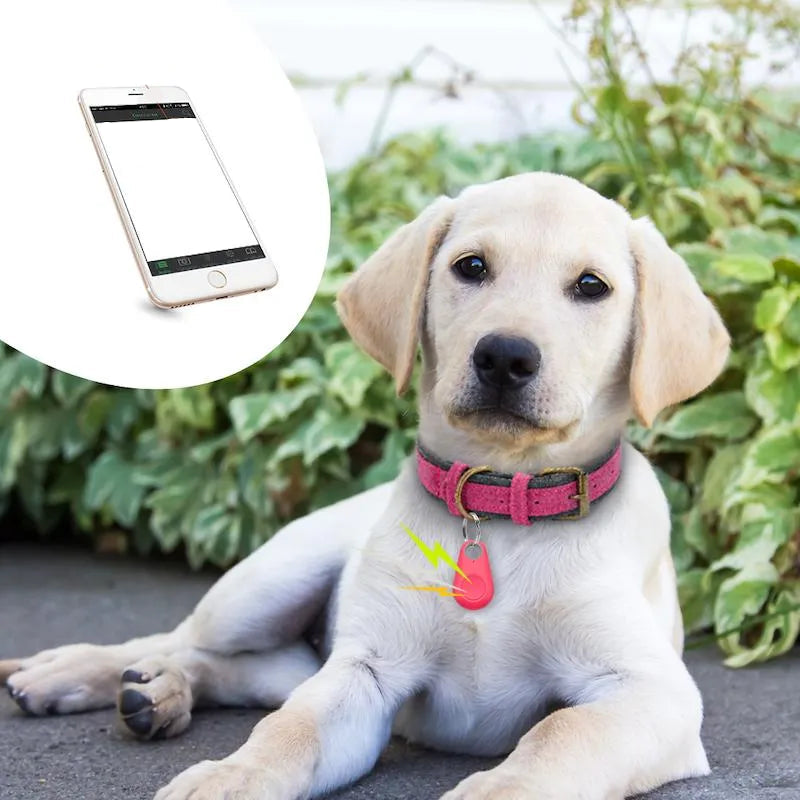 TrackiPet | GPS-Tracker für Haustiere mit Live-Ortung