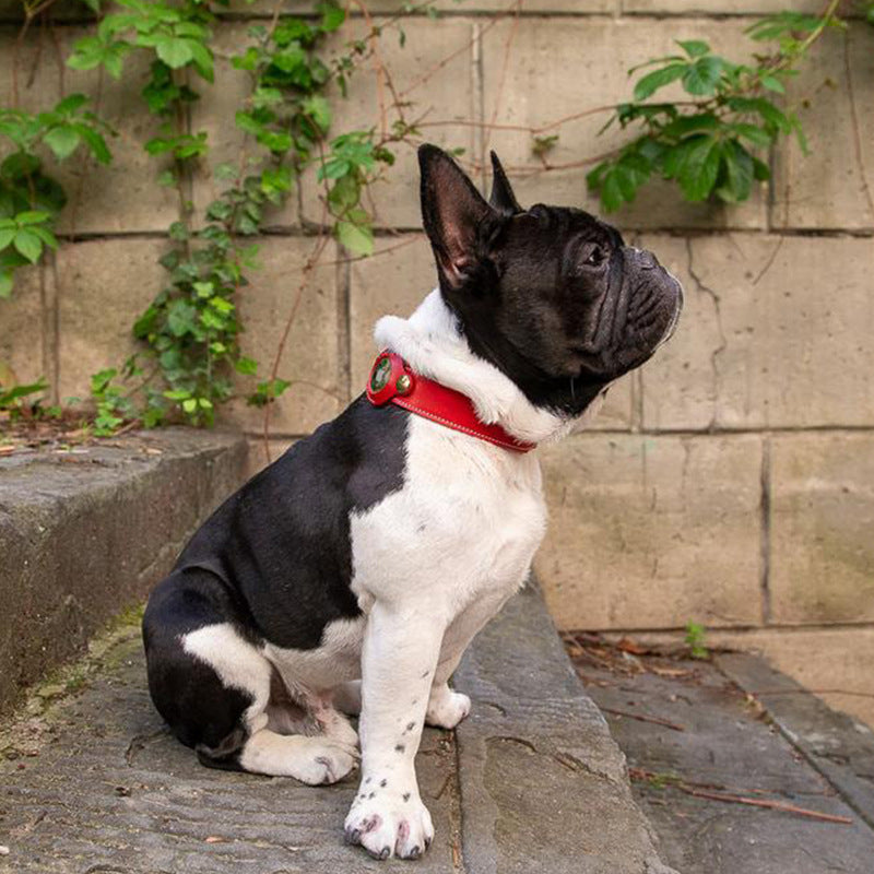 Bruno | Exklusives AirTag Lederhalsband für Hunde