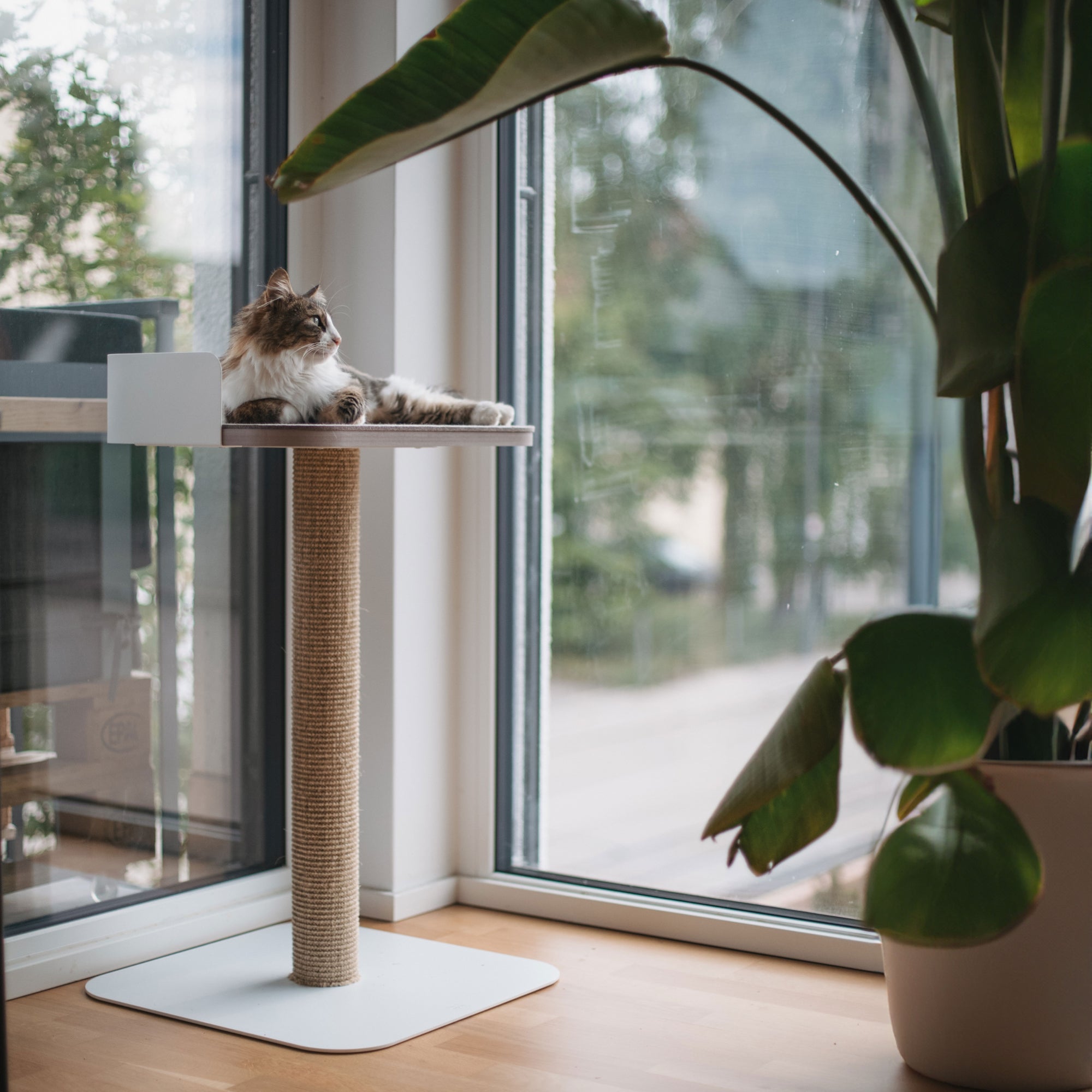 MilaMau | Moderner Kratzbaum mit Liegeplattform