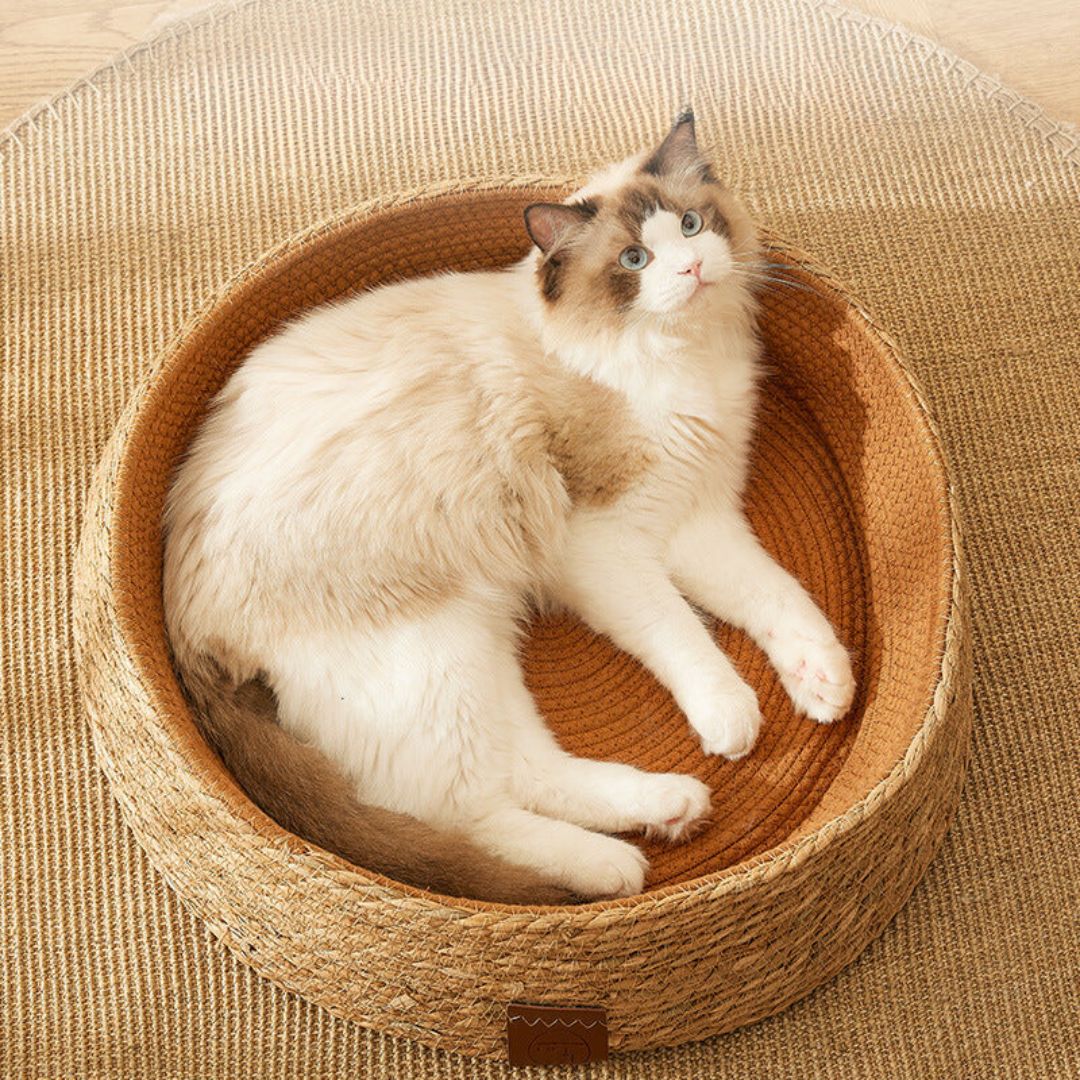 MauLuna | Handgewebtes Kratz- und Kuschelbett aus Natur-Rattan für Katzen