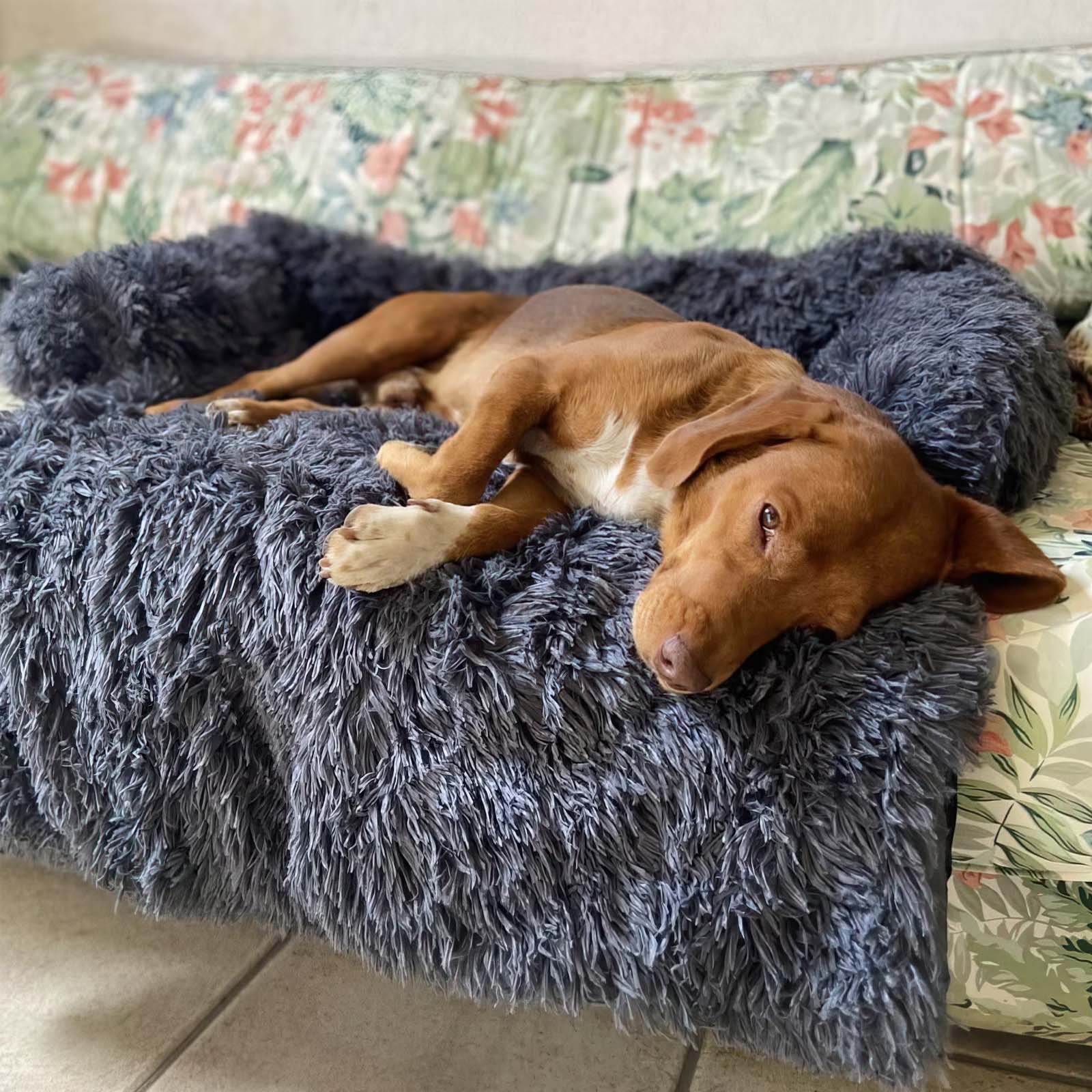 Stella | Große Hundematte mit Möbel-Schutzfunktion
